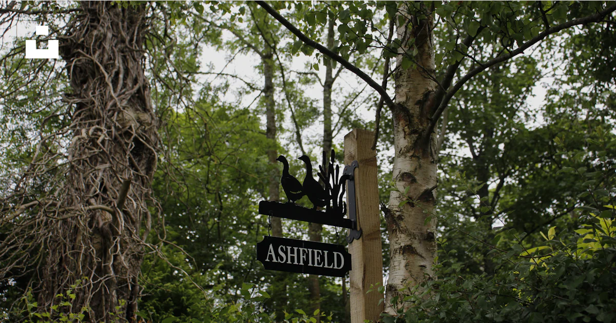 Ashfield Sign A street sign for ashfield in a lush setting. photo – Free Forest Image ...