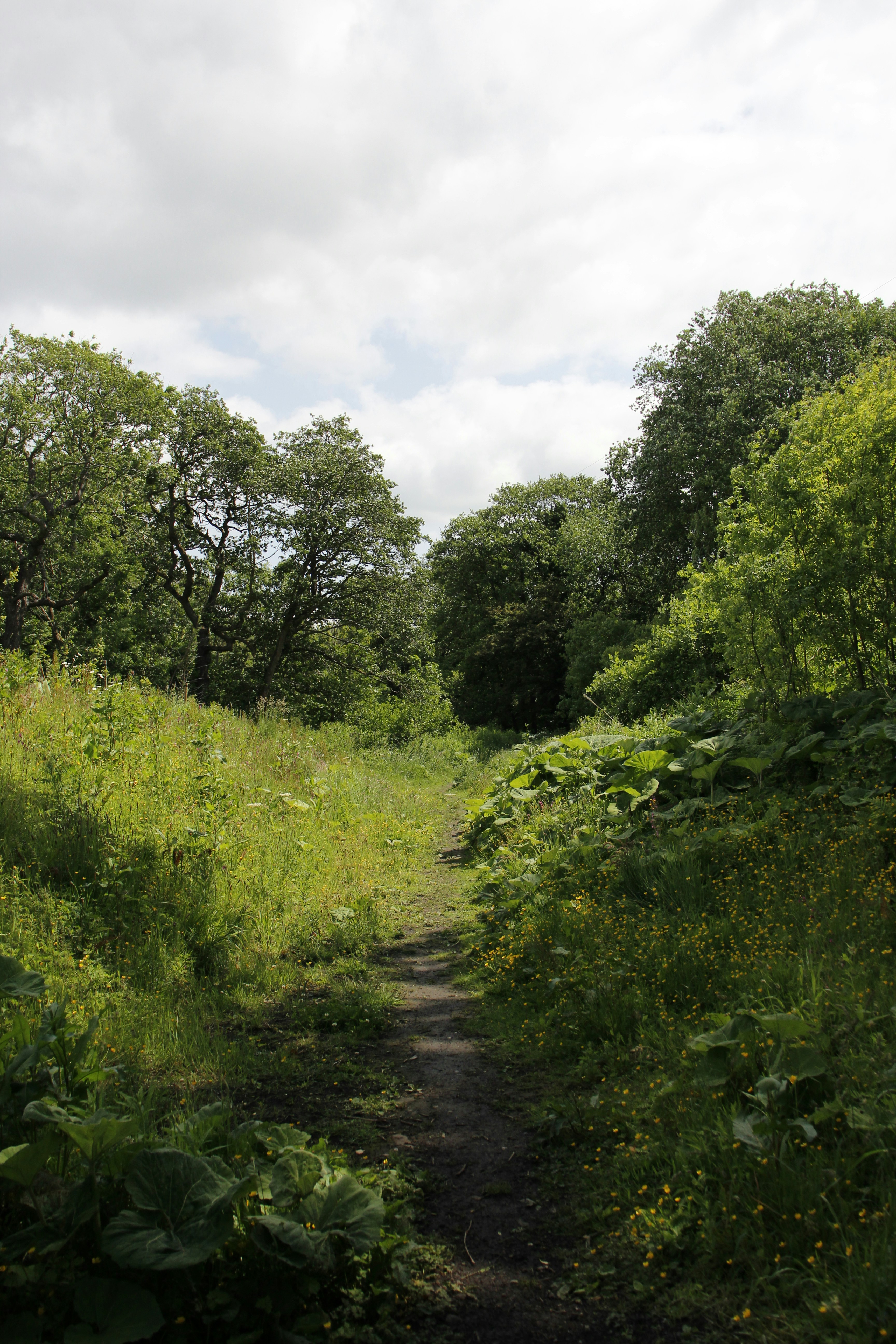 Photo by bloominghyacinth