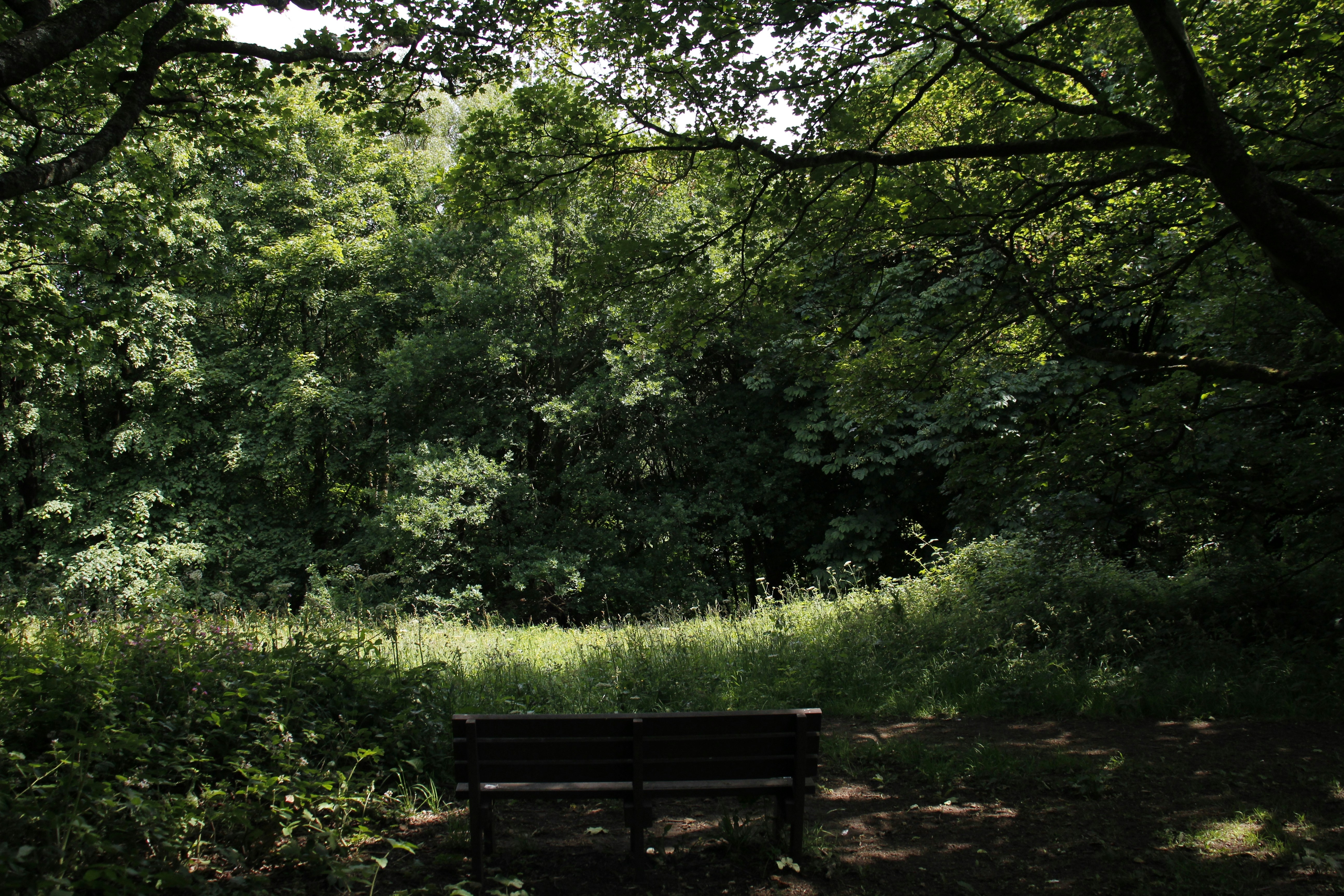 Photo by bloominghyacinth