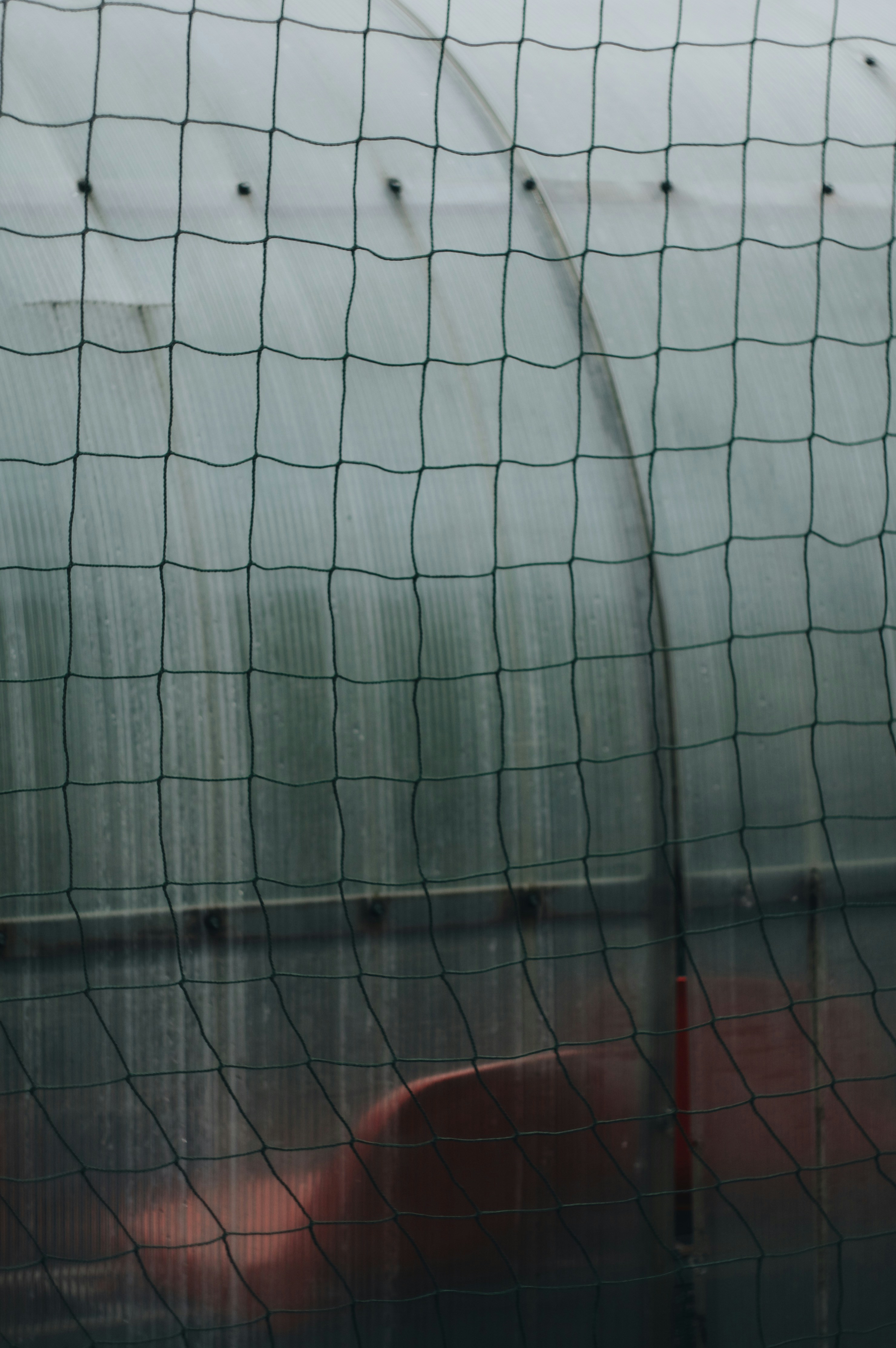 Photo by jo_negatives