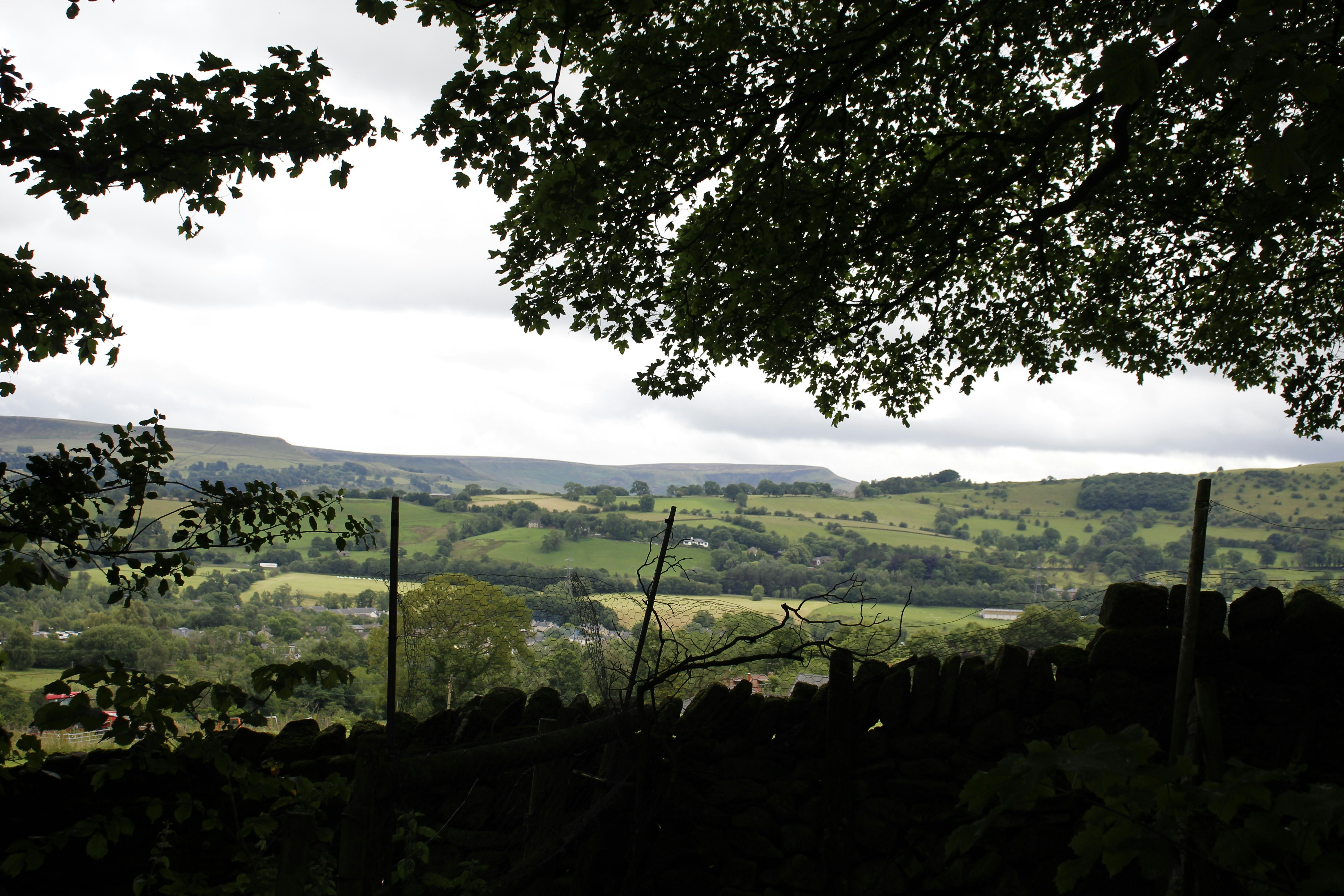 Photo by bloominghyacinth