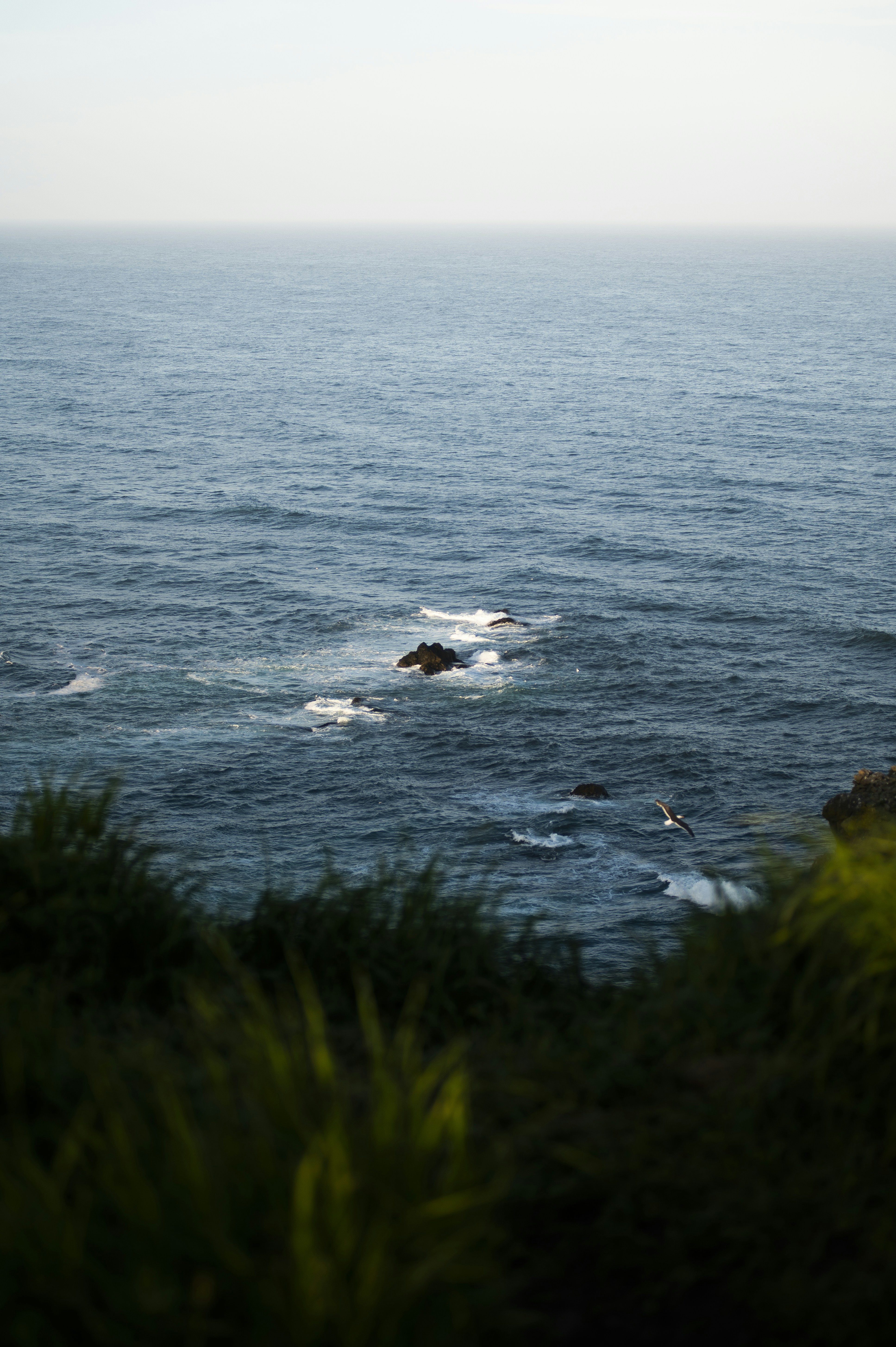Ocean waves crash near some rocks and a seagull.