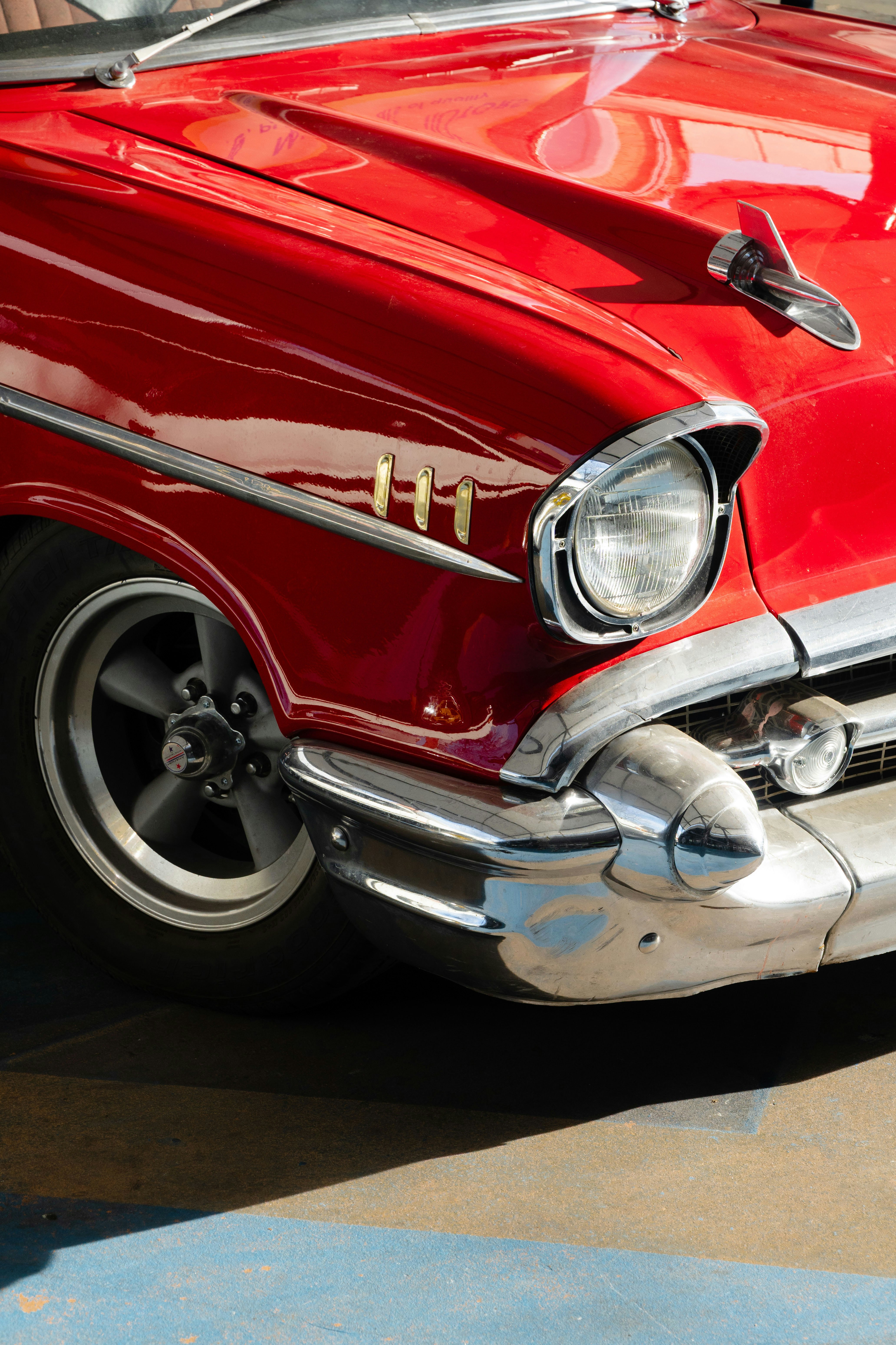 Photo by matonthepaddock