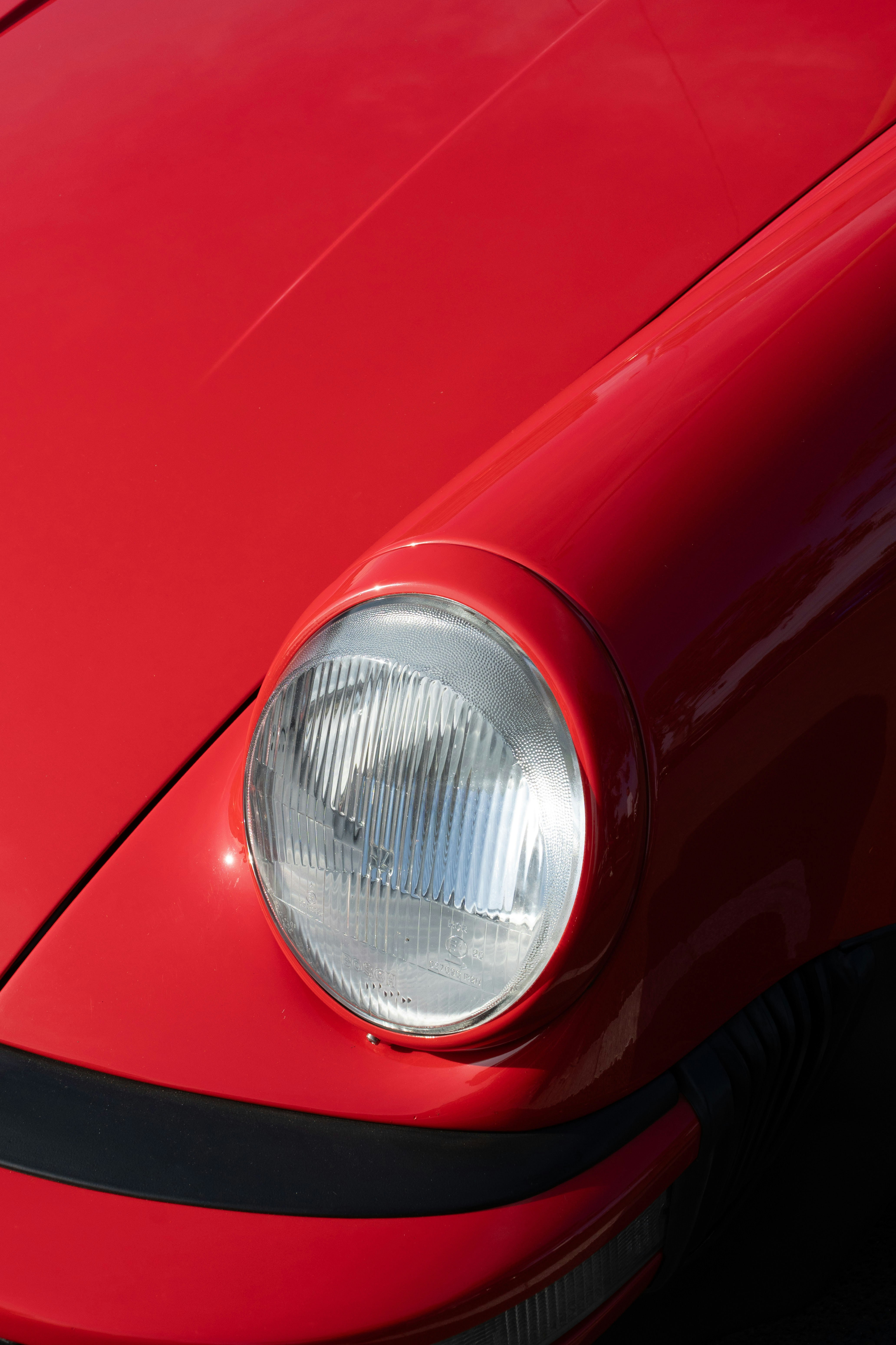 Photo by matonthepaddock