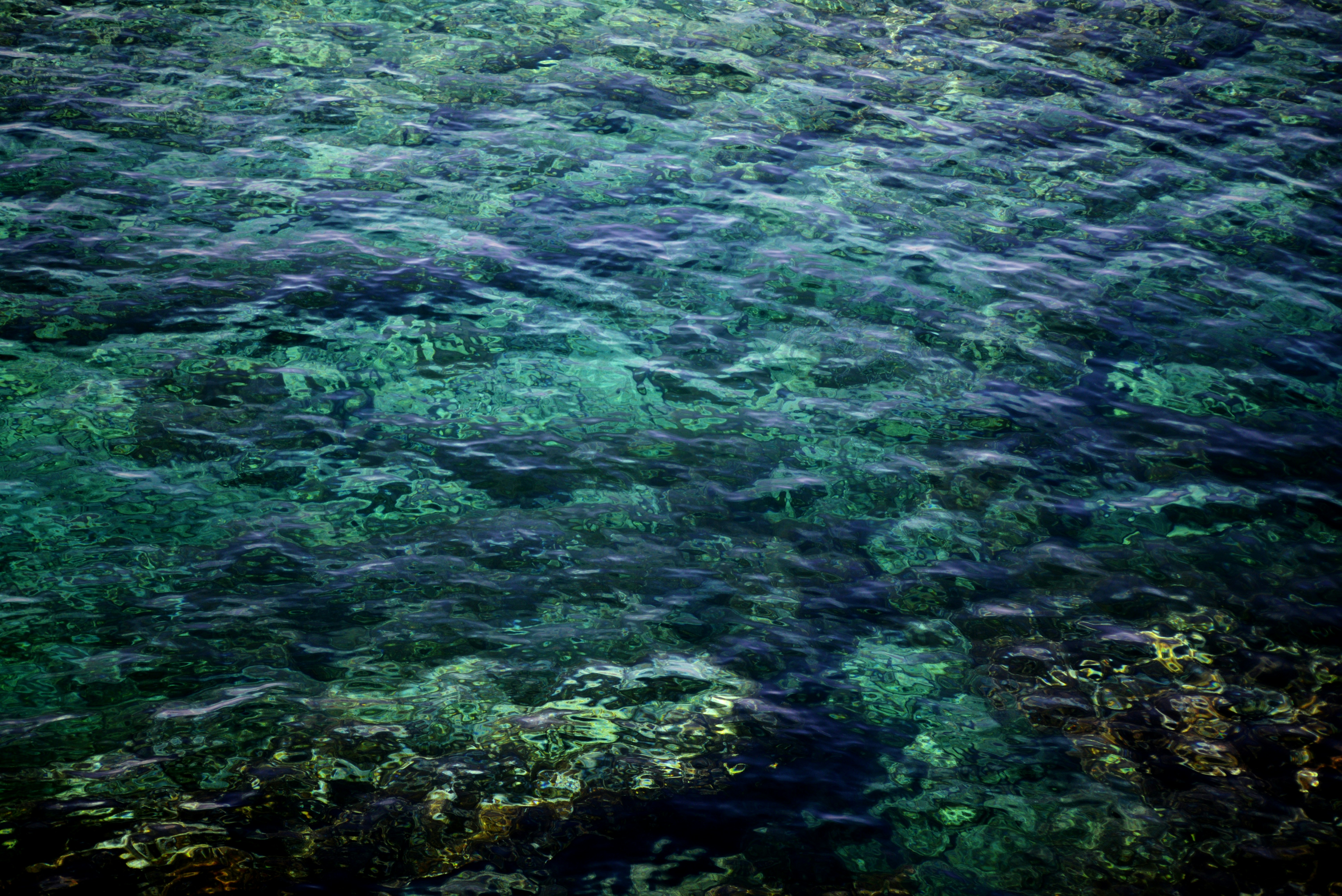 Photo by cherstve_pechivo