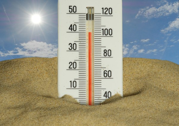 Calor do Super El Niño pode matar 13,3 mil no Brasil, diz estudo
