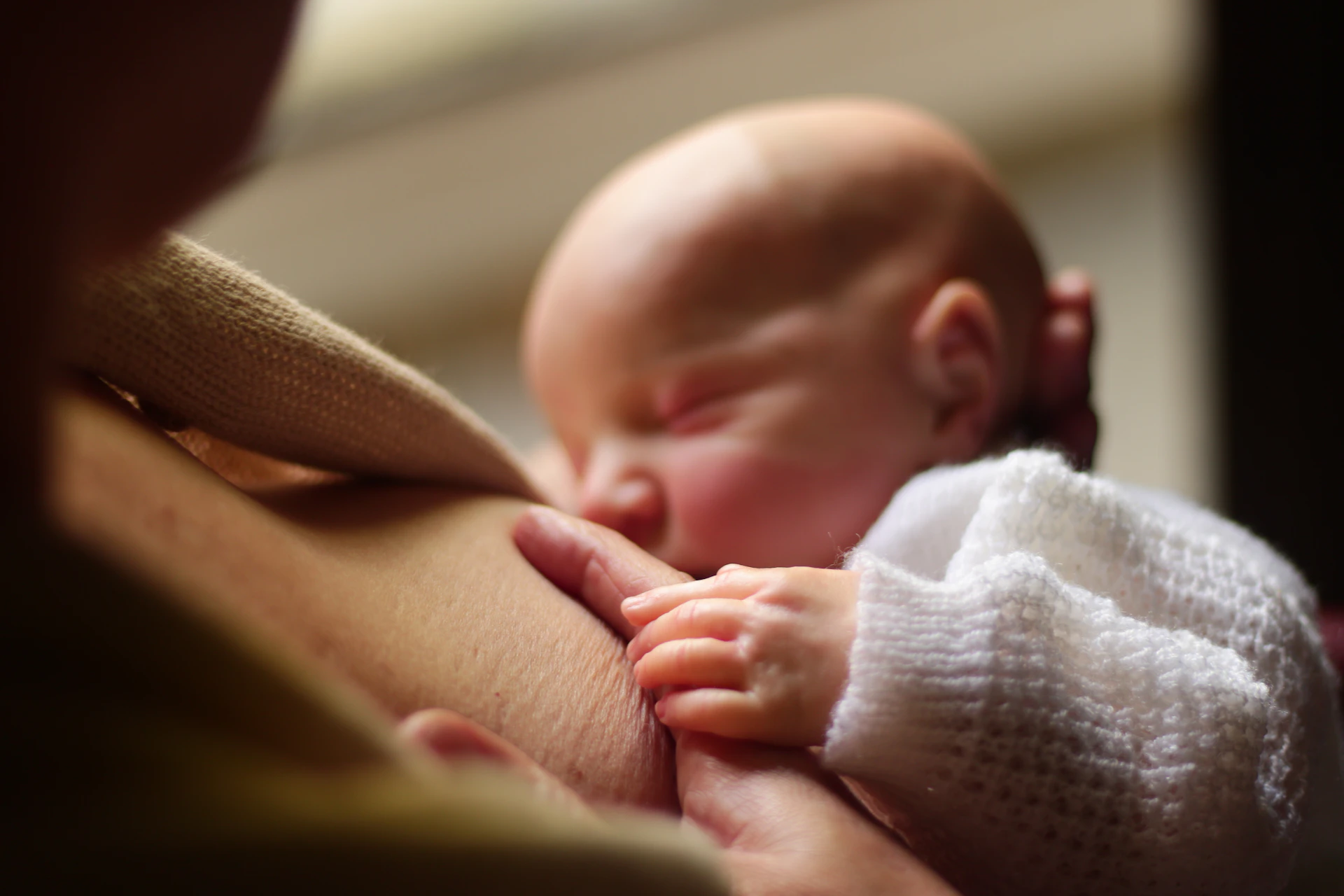 A baby breastfeeds, clinging to its mother.