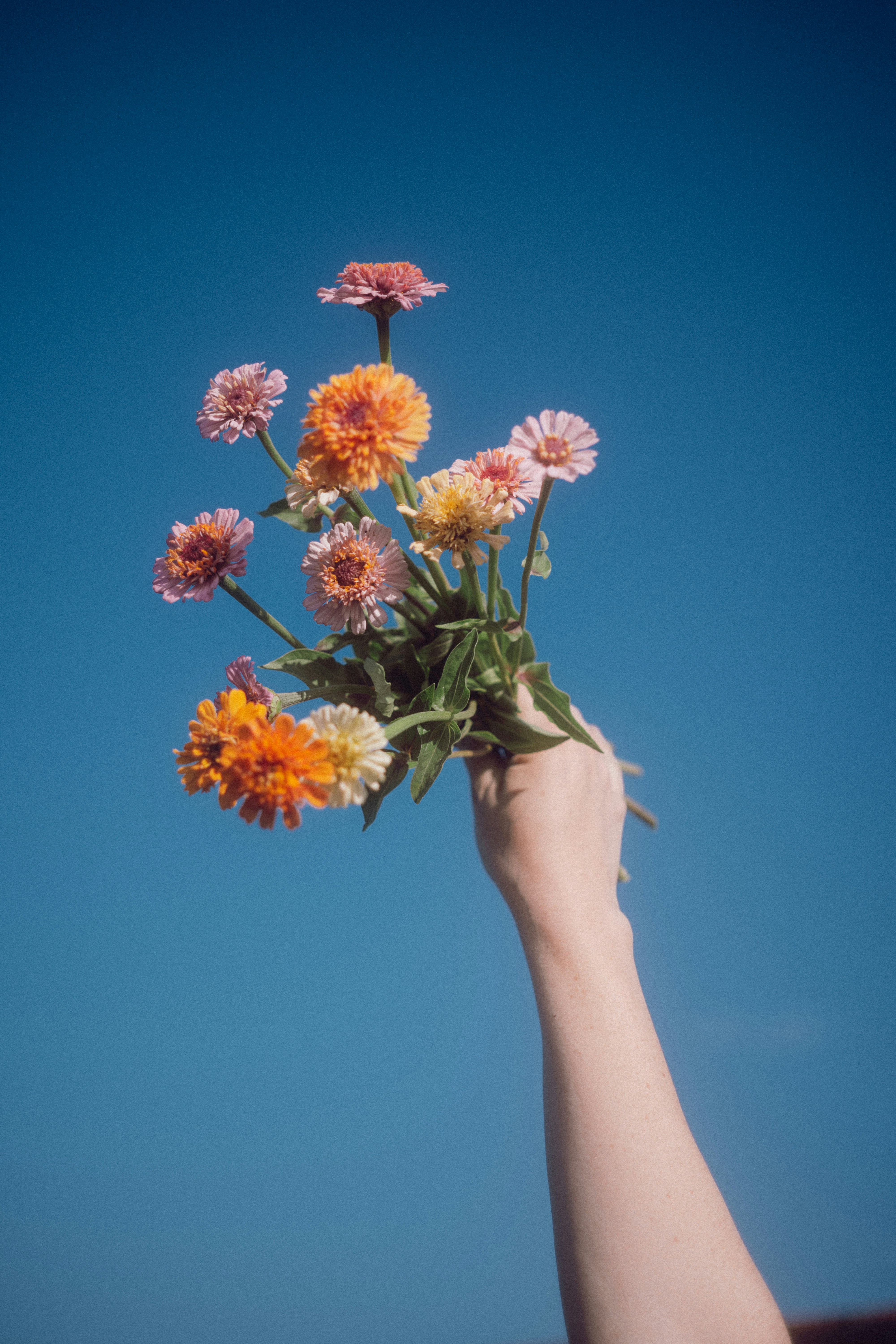 Hand holds a bouquet of colorful flowers.