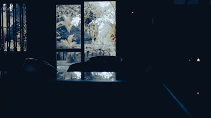 A dark room looking out at trees.