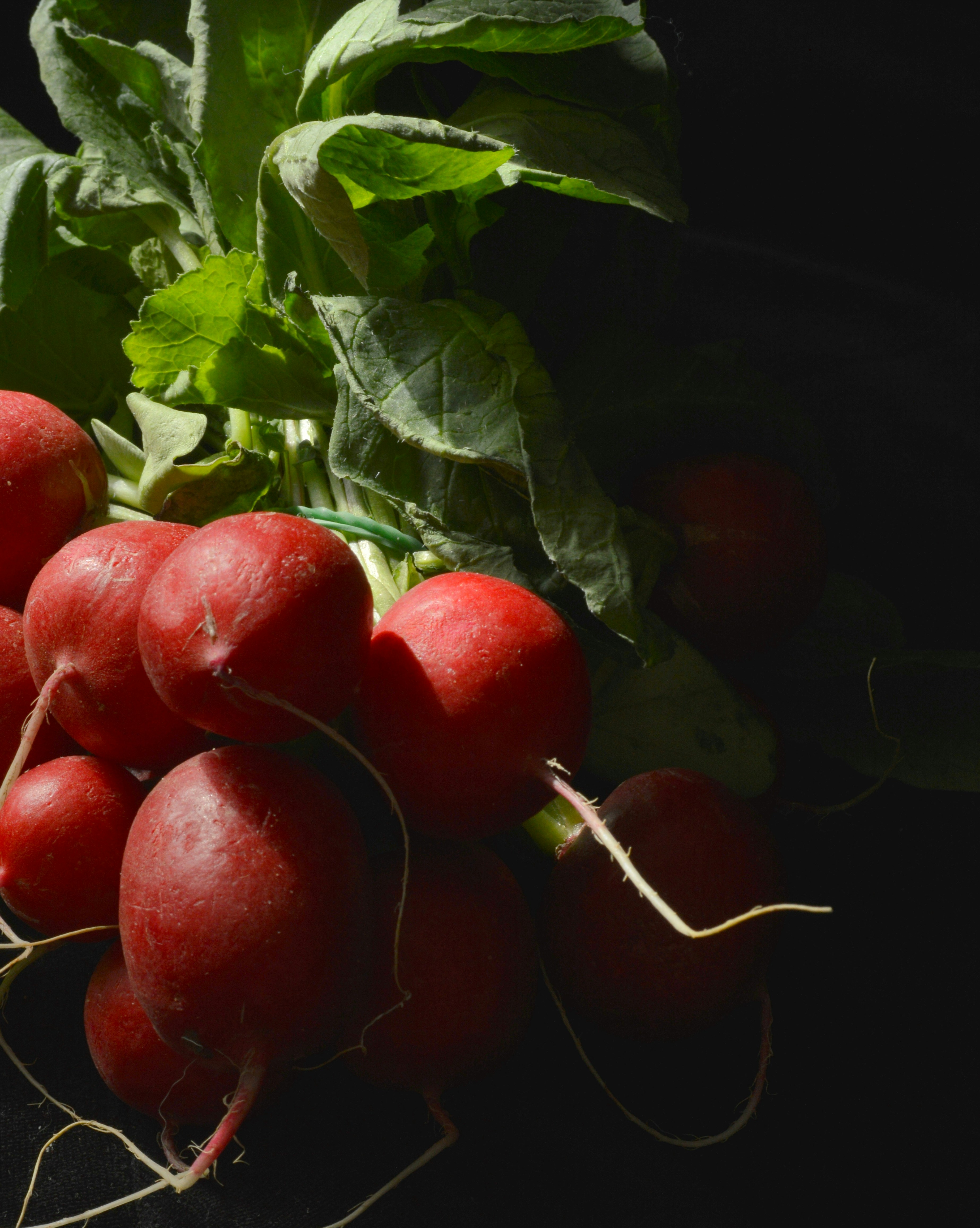Fresh radishes with green leaves against black.