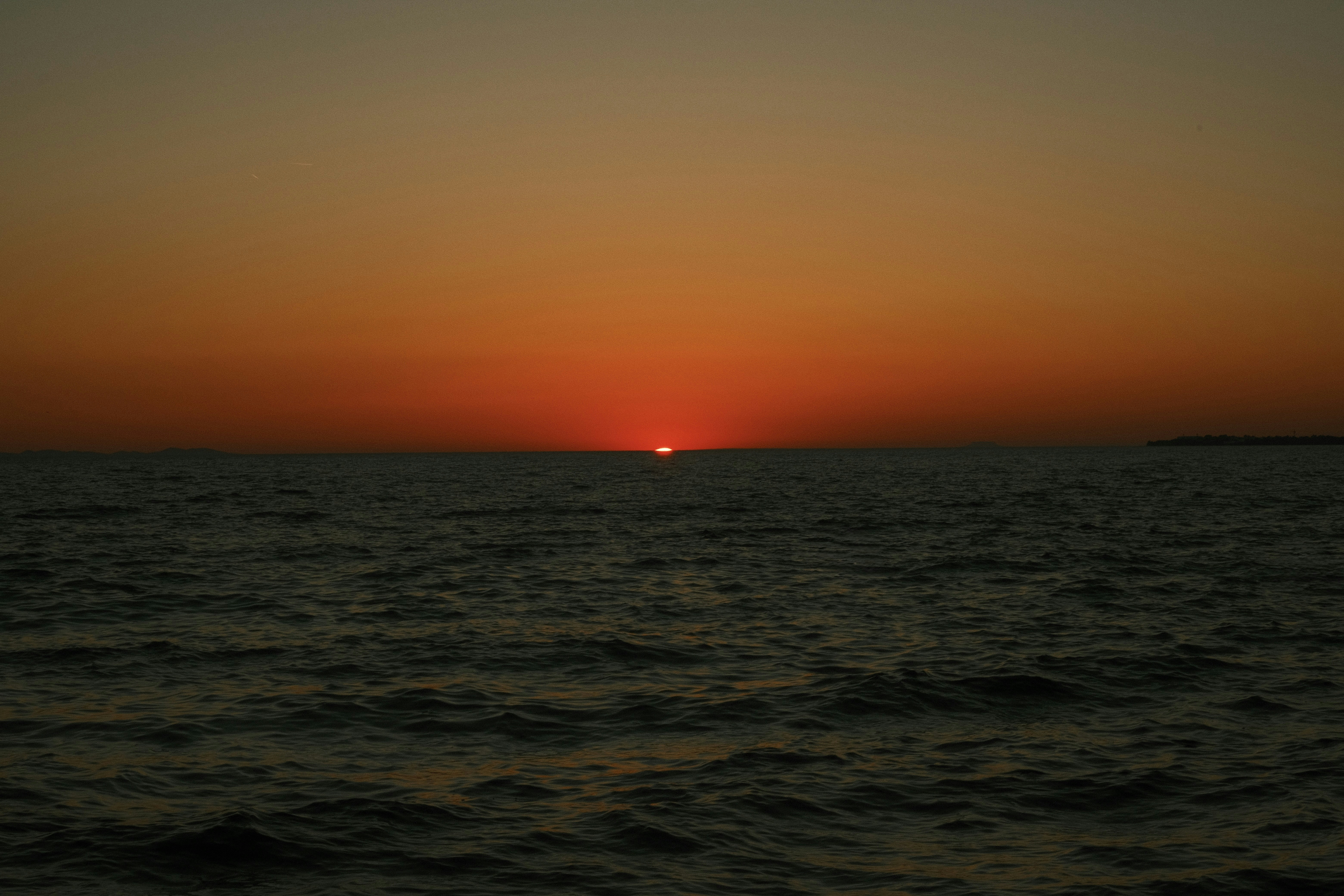 Photo by marius241001