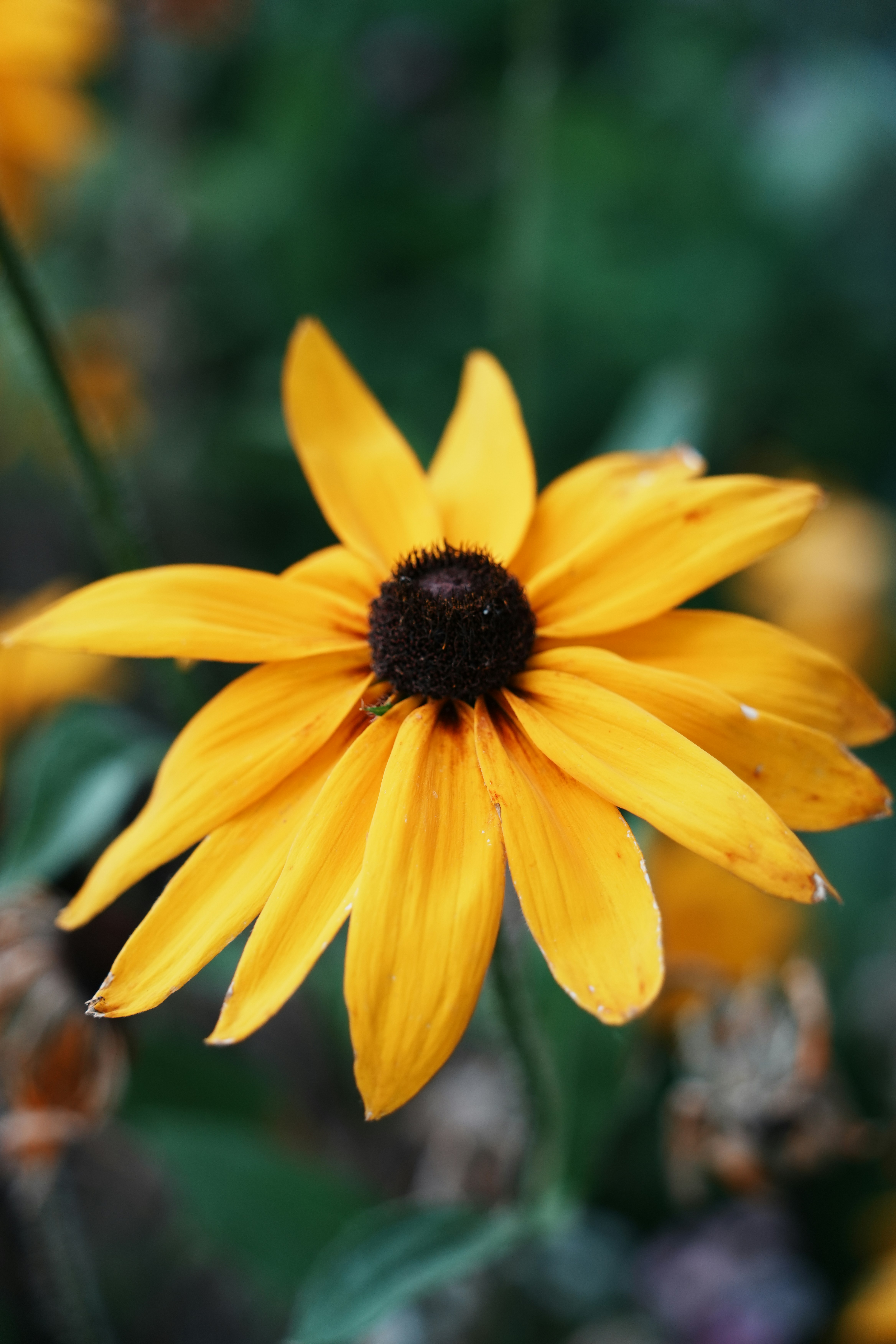 Photo by jincheng_1999