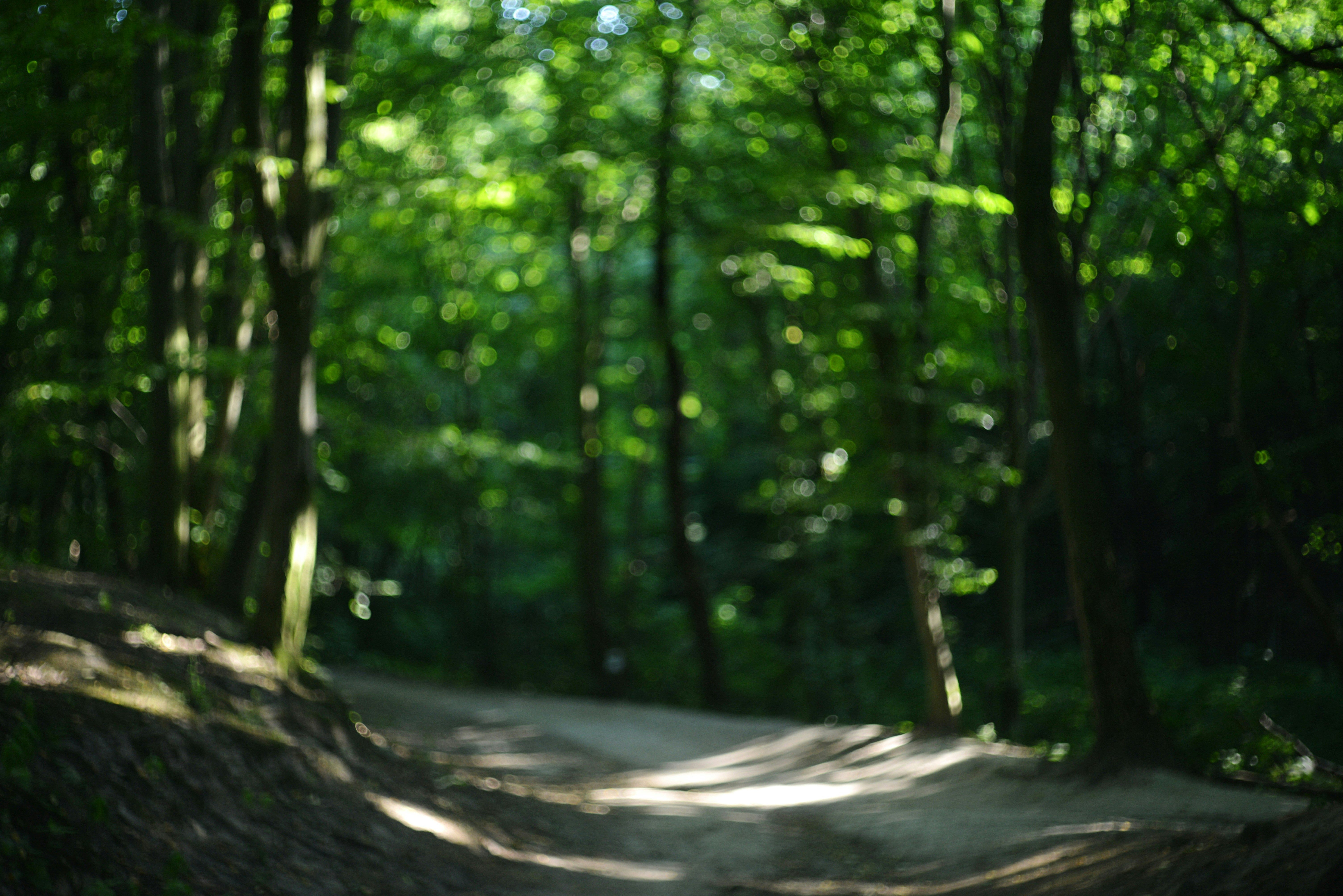 Photo by cherstve_pechivo