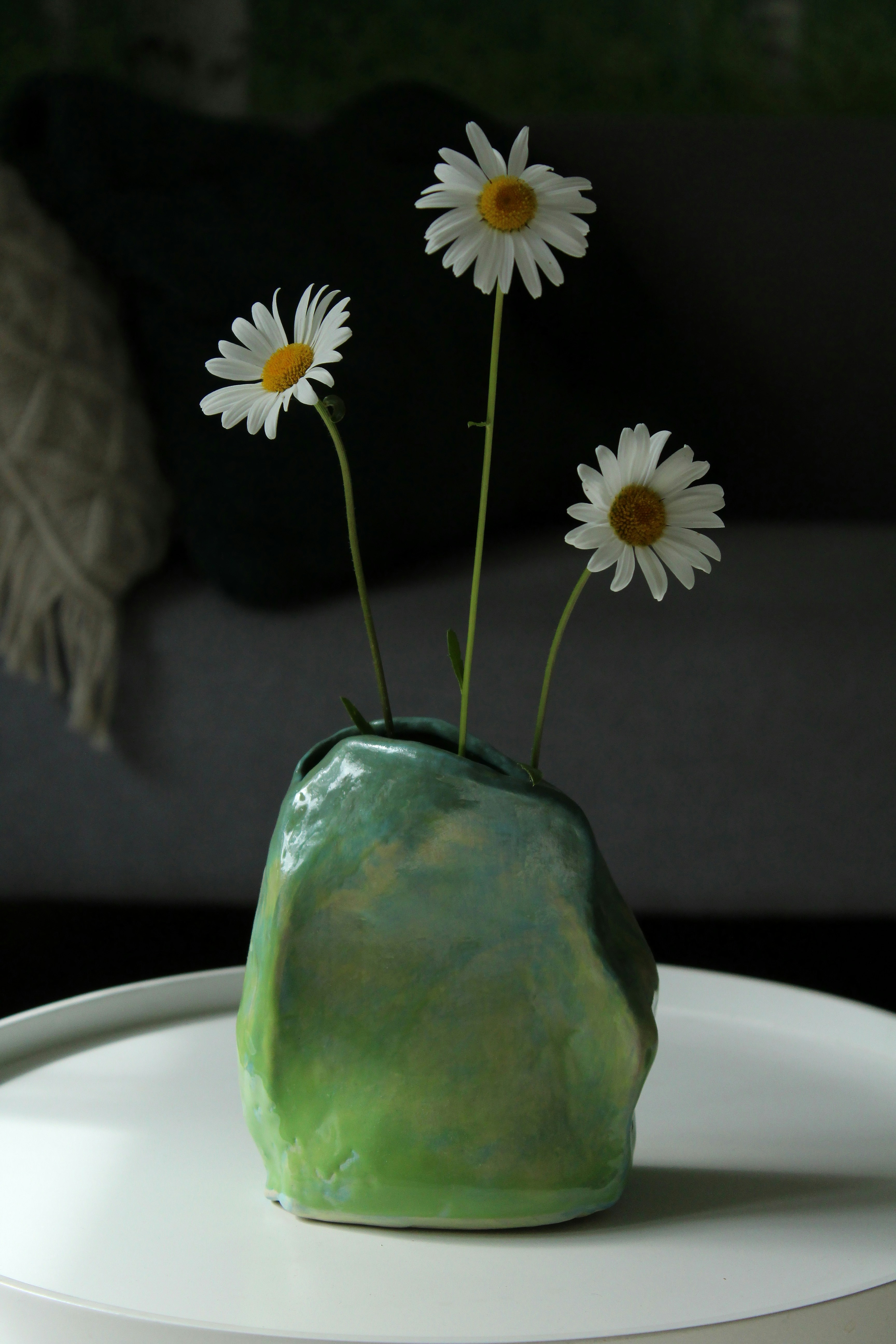 Daisies bloom beautifully in a green ceramic vase.