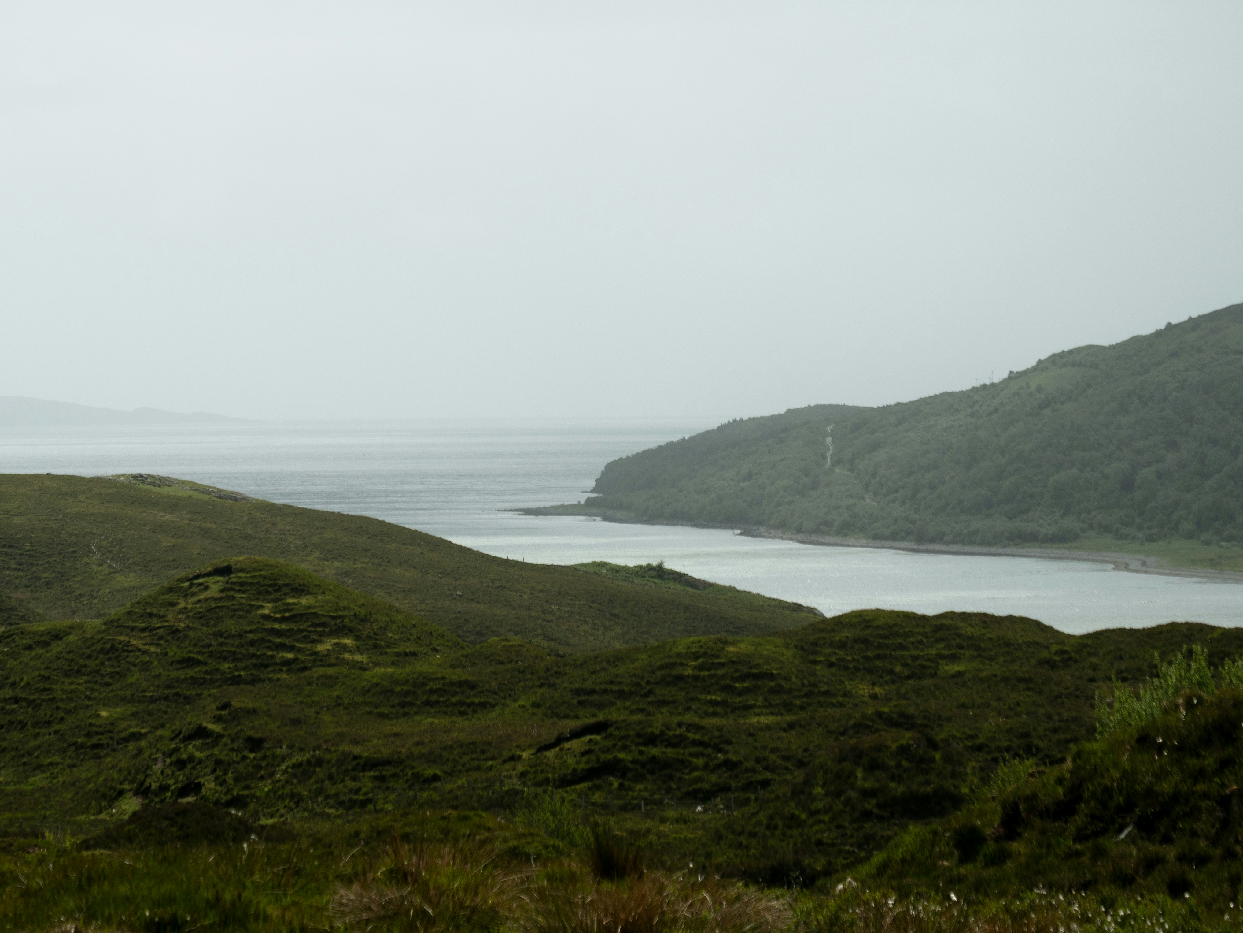 Photo by storybyphil