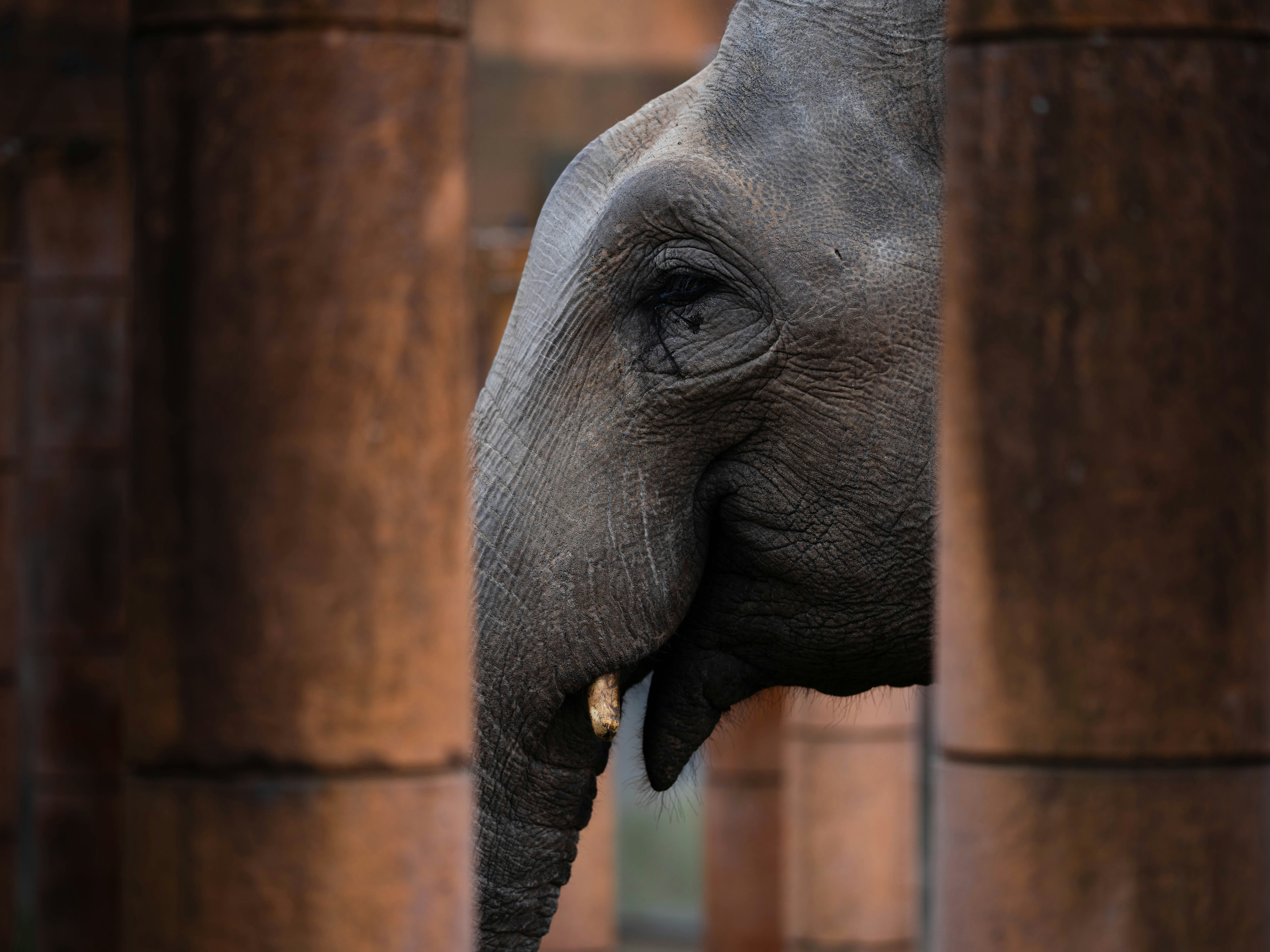 Why The Right Preschool Selection Is Necessary For Your Youngster'S Future