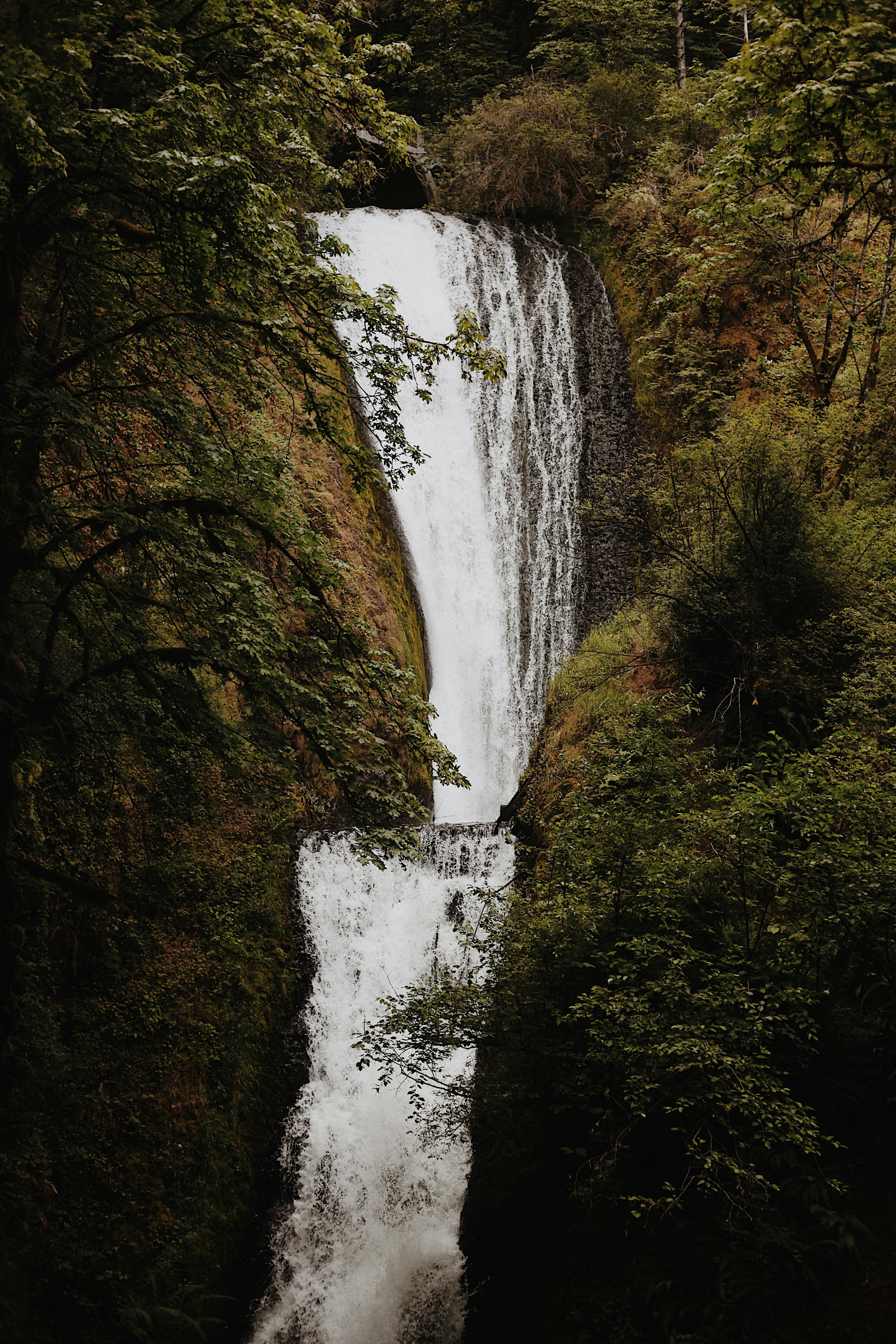 Photo by earthtokarly