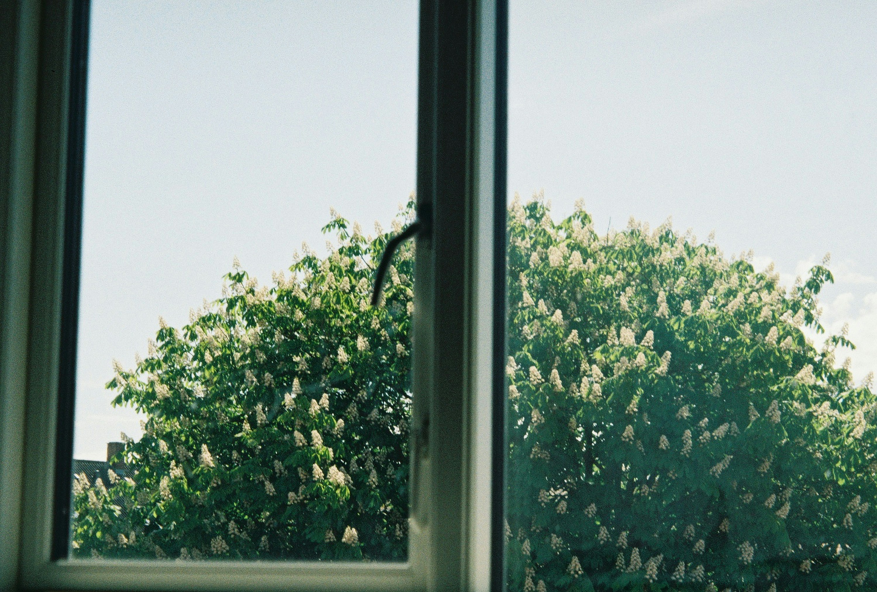 Photo by raphaelbernhart