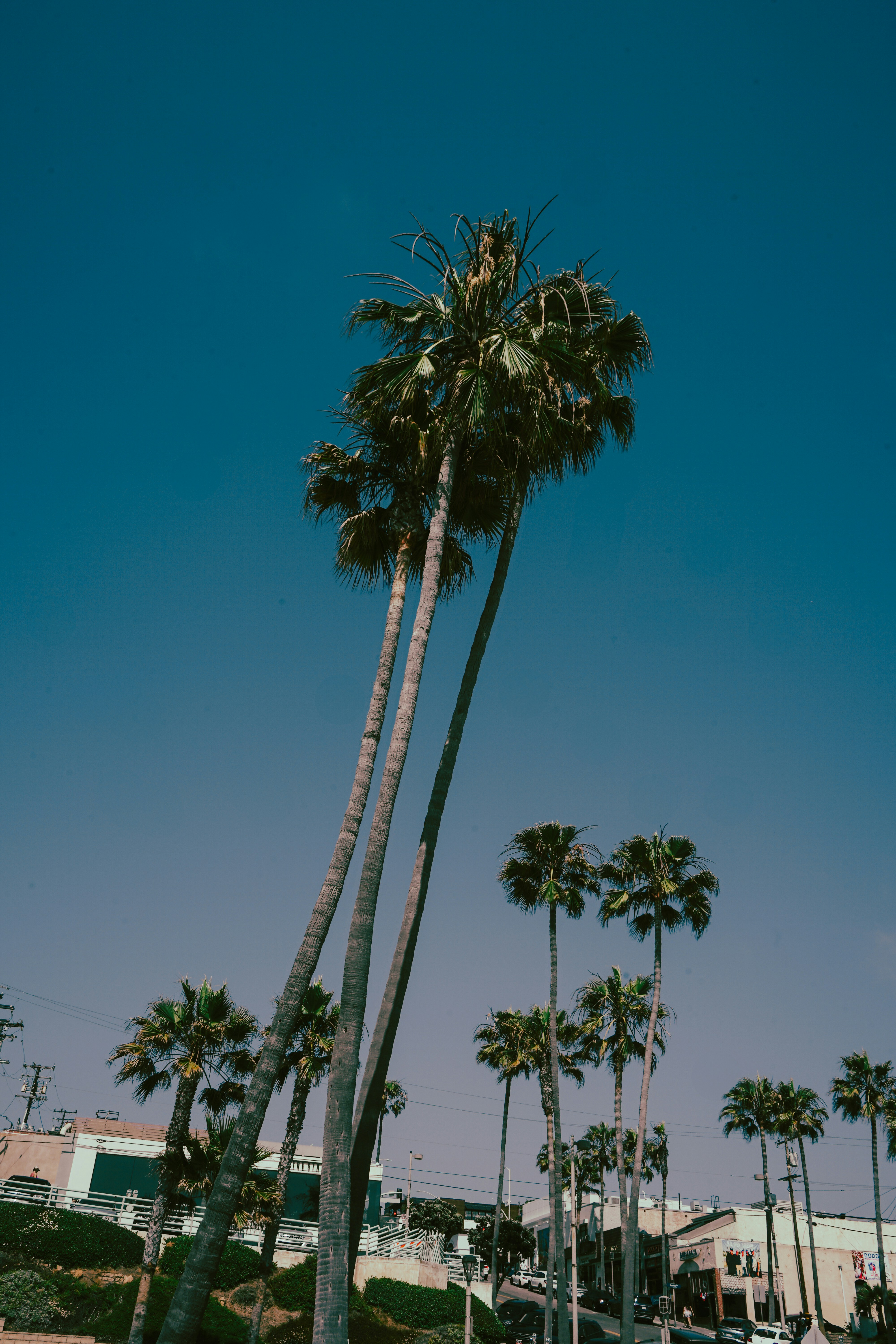 Photo by crisoabstract