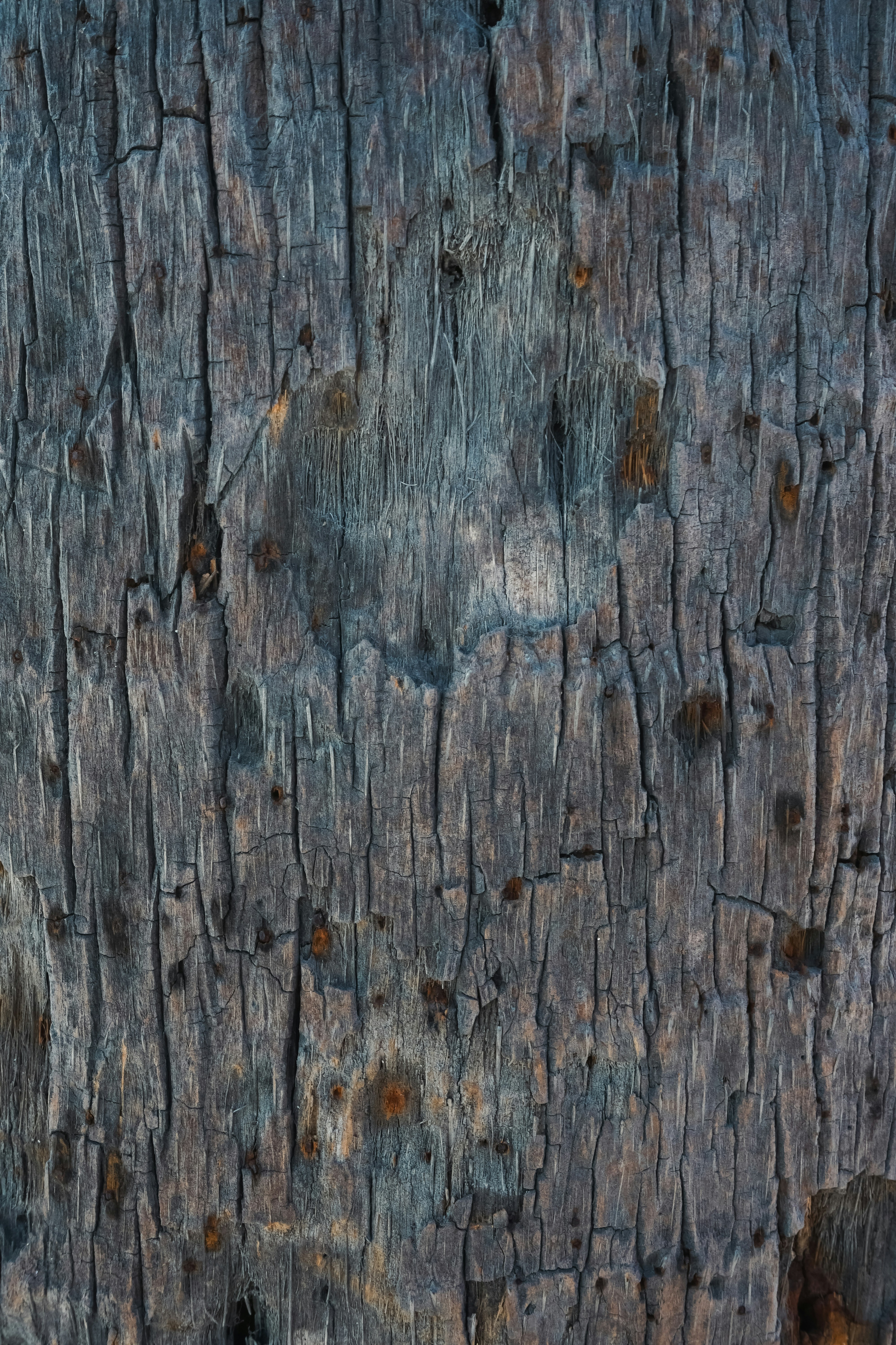 Photo by crisoabstract