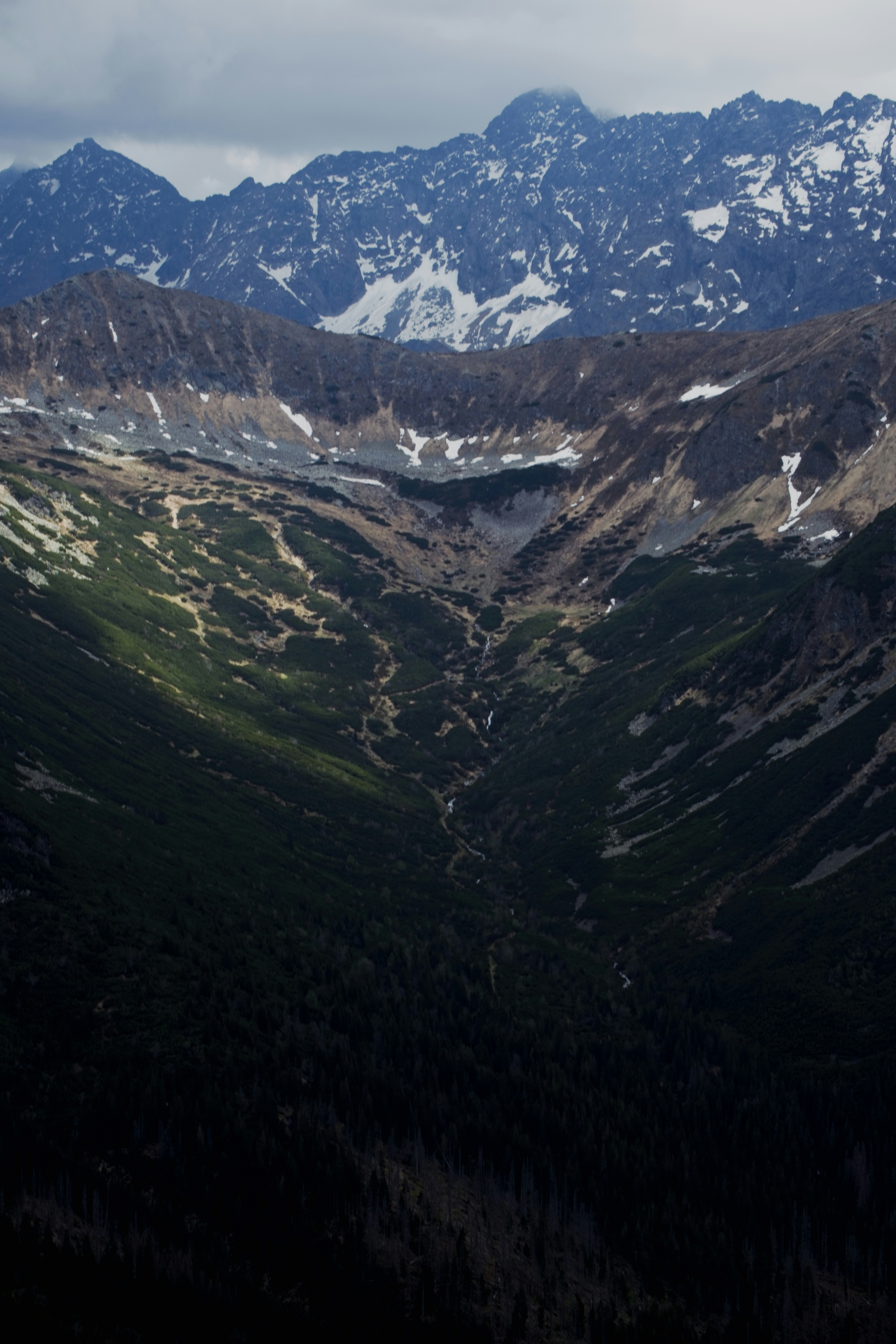 Photo by rozoviesloniki