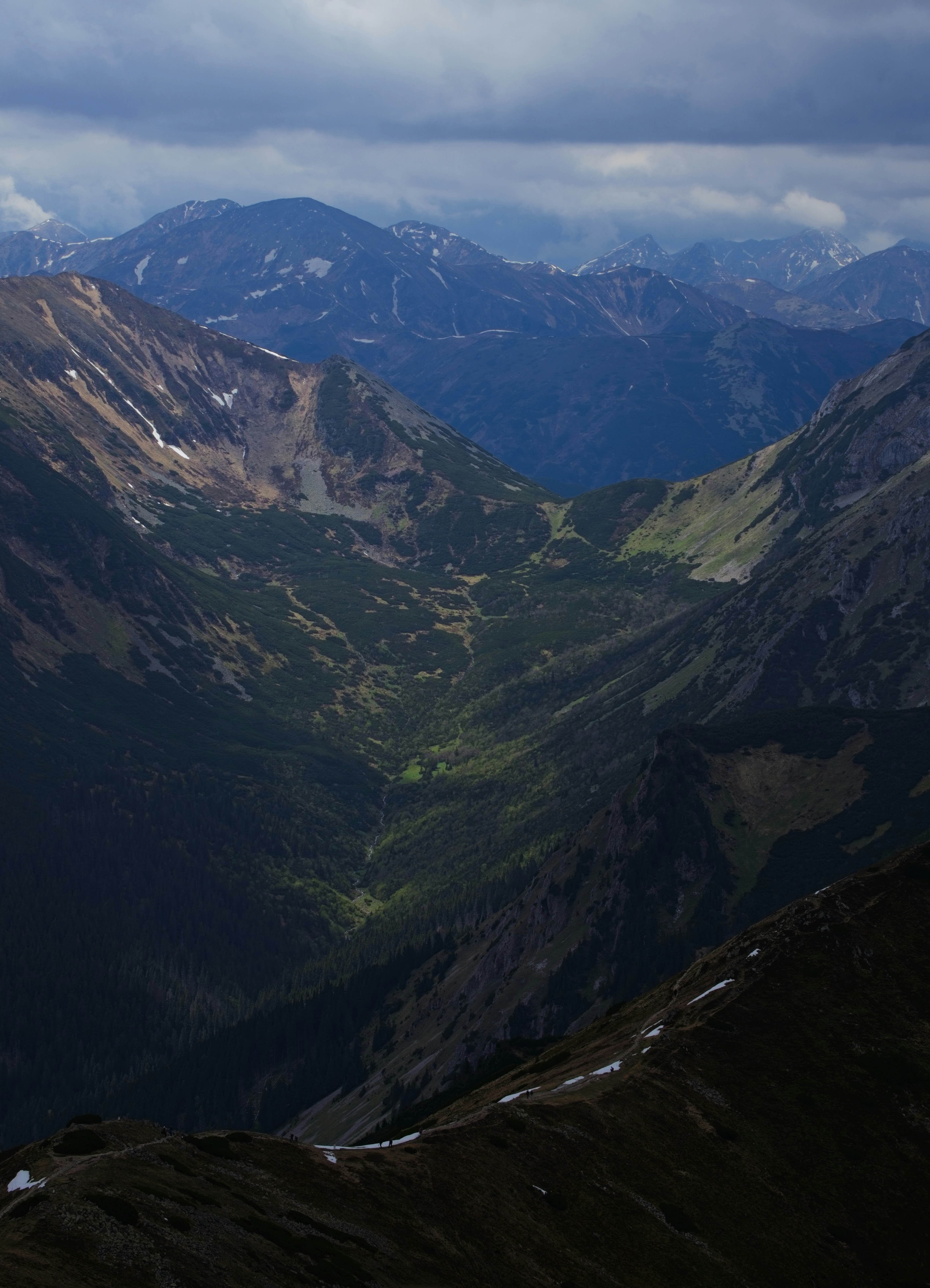 Photo by rozoviesloniki