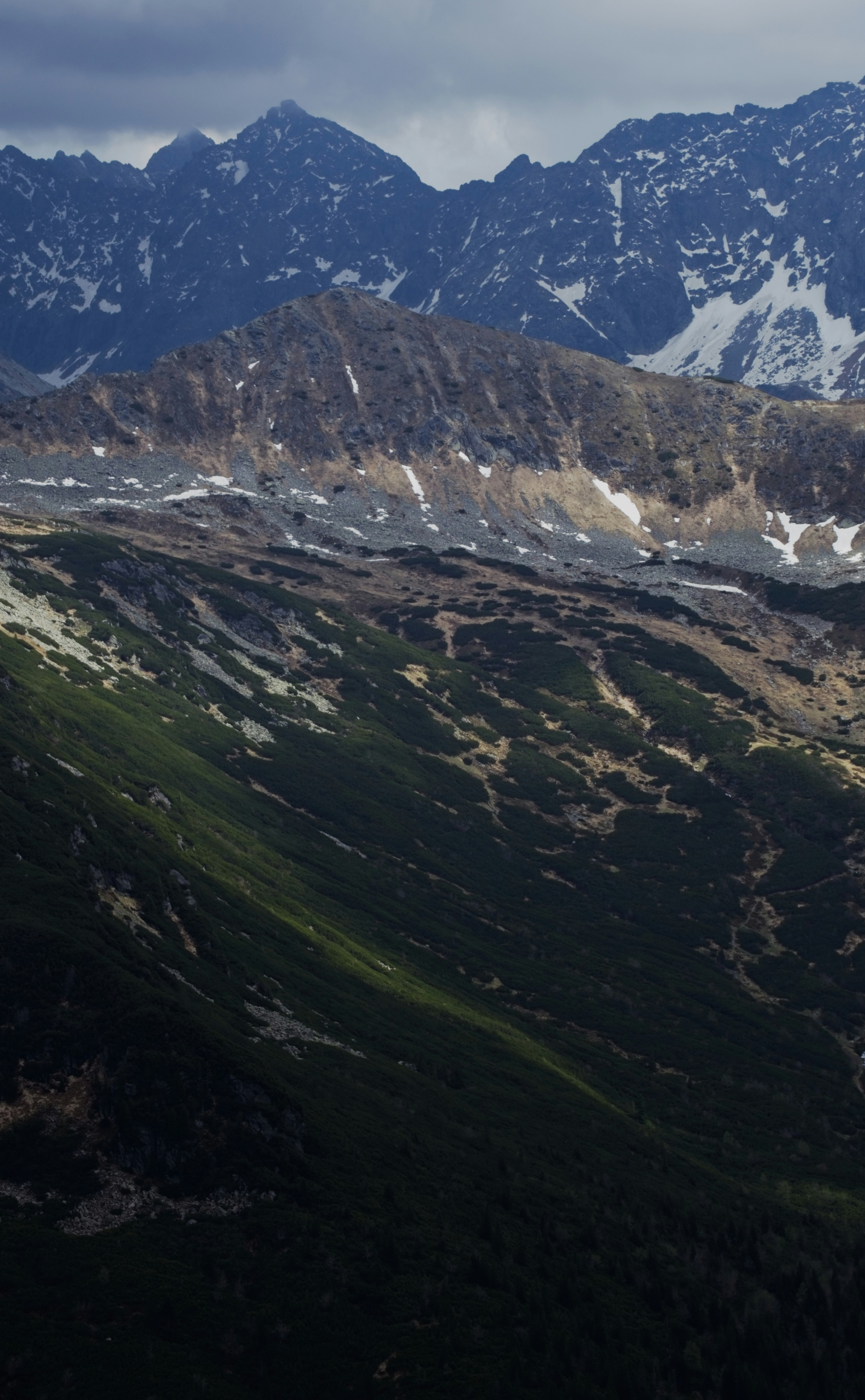 Photo by rozoviesloniki