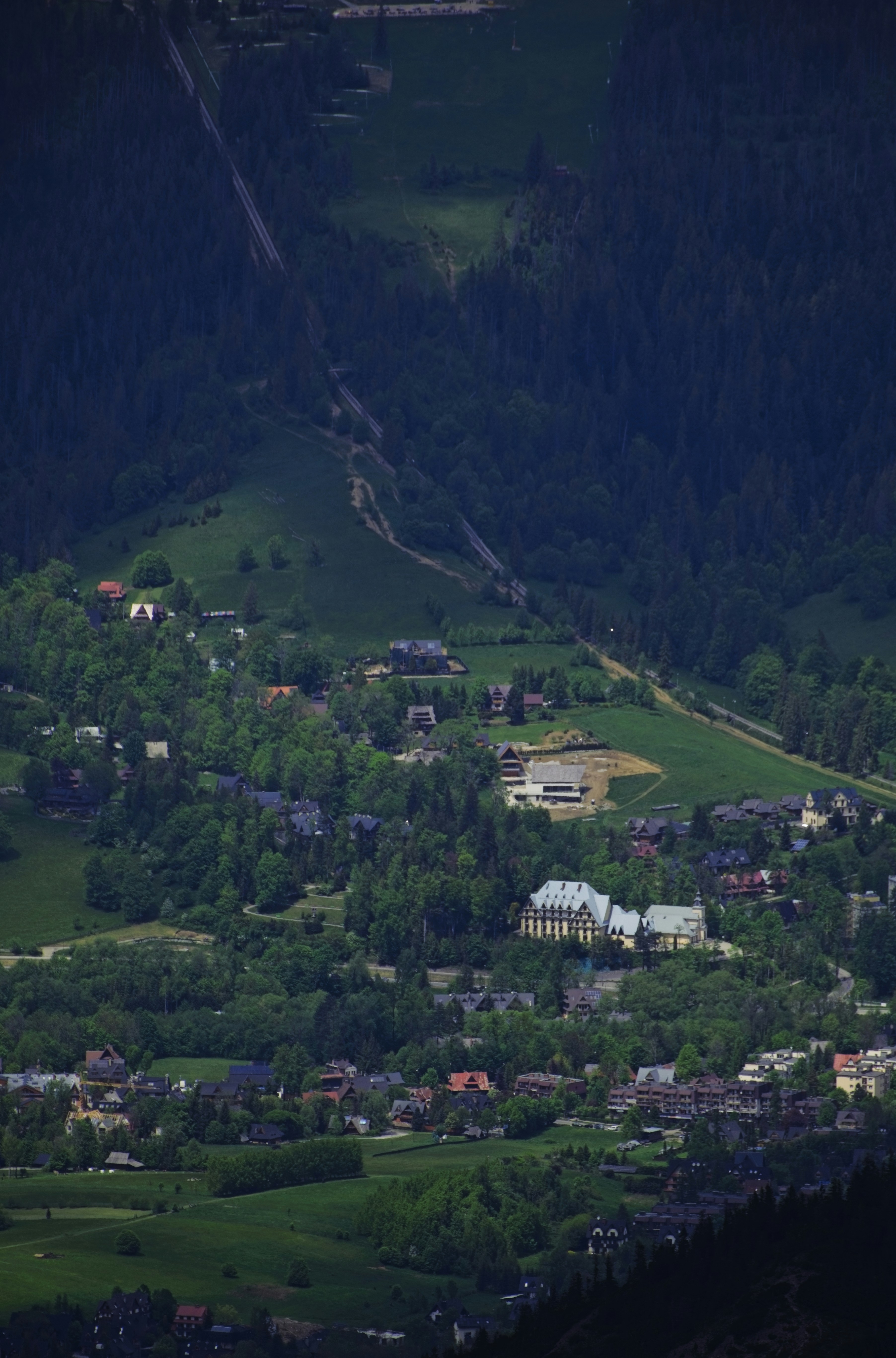 Photo by rozoviesloniki