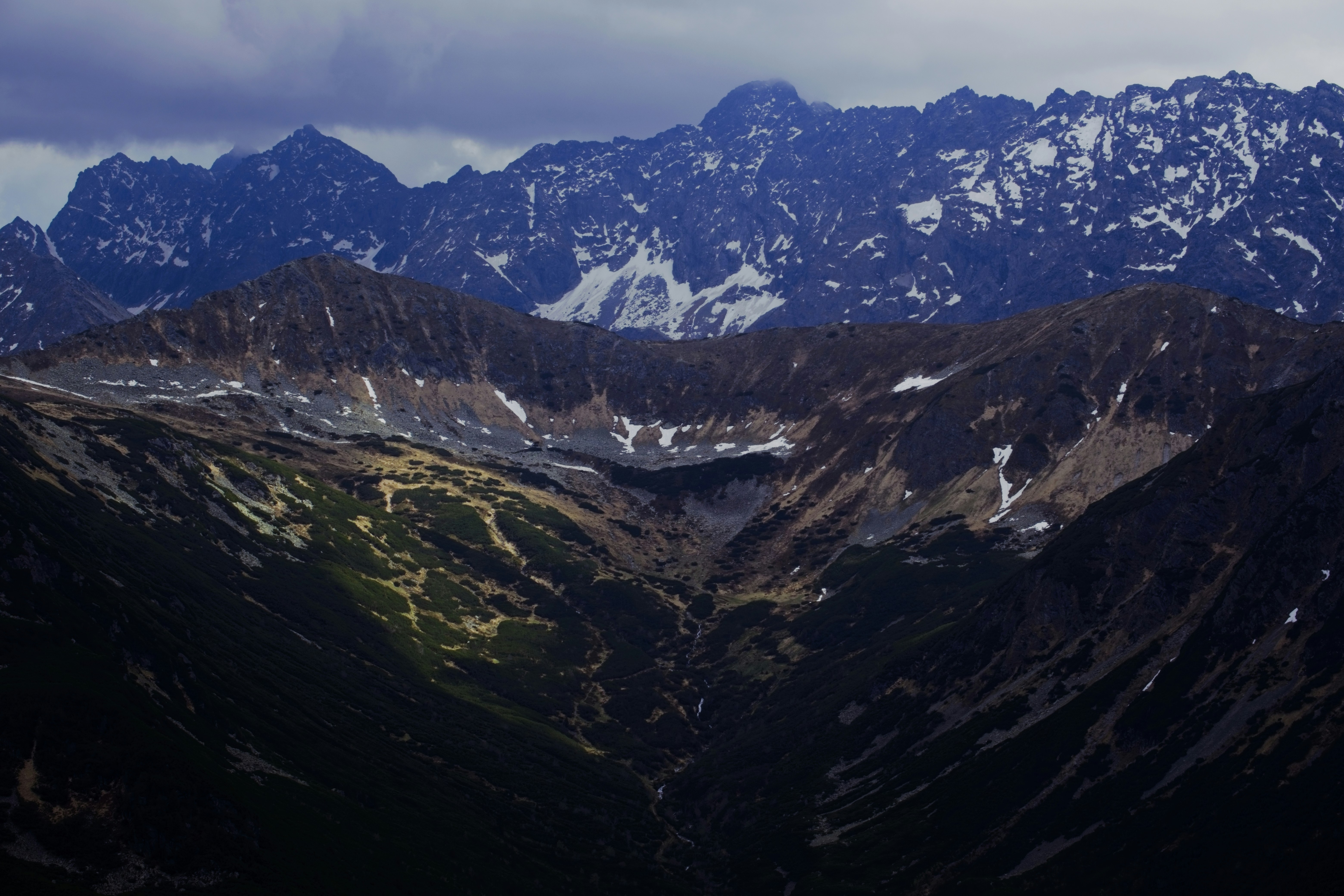 Photo by rozoviesloniki