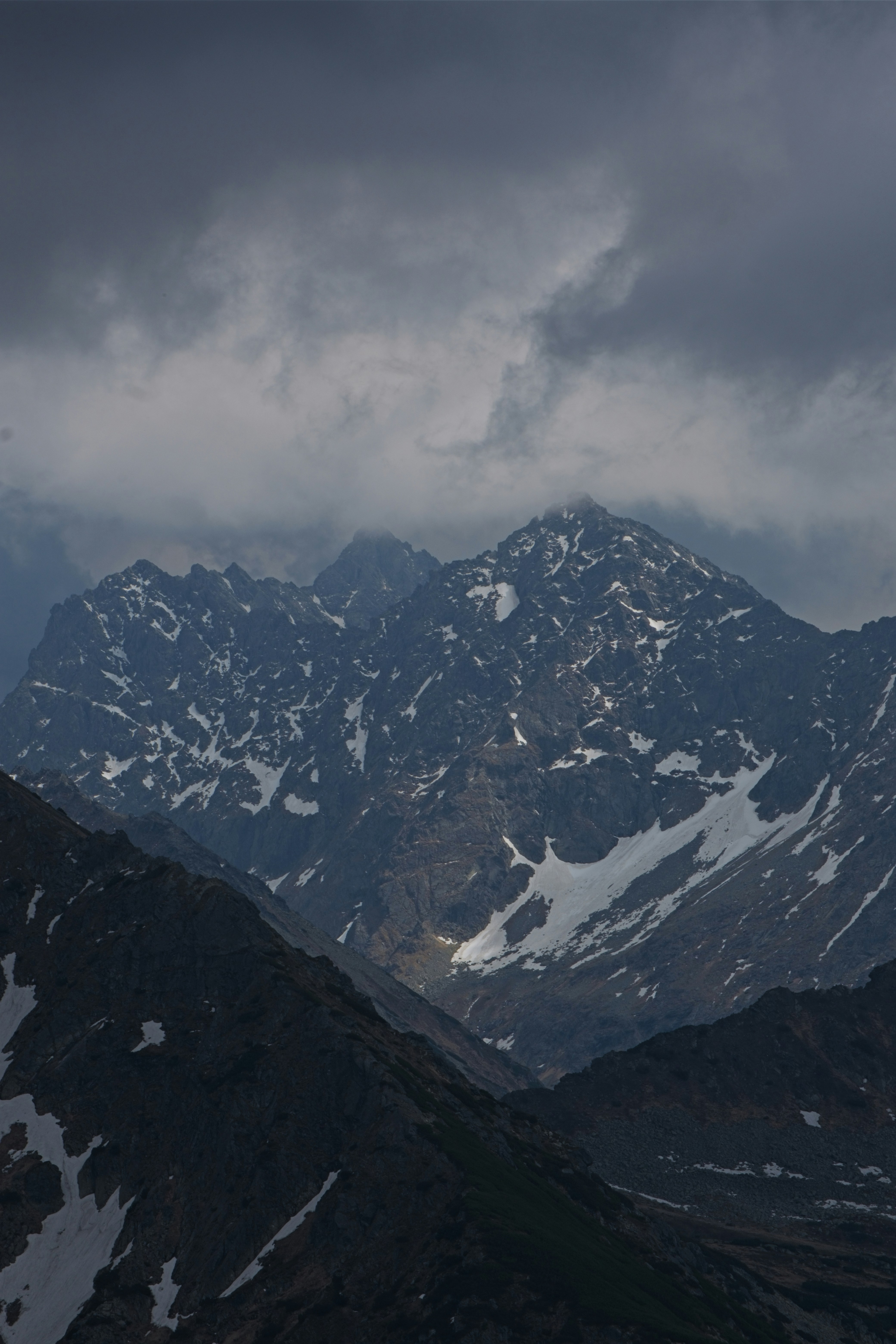 Photo by rozoviesloniki