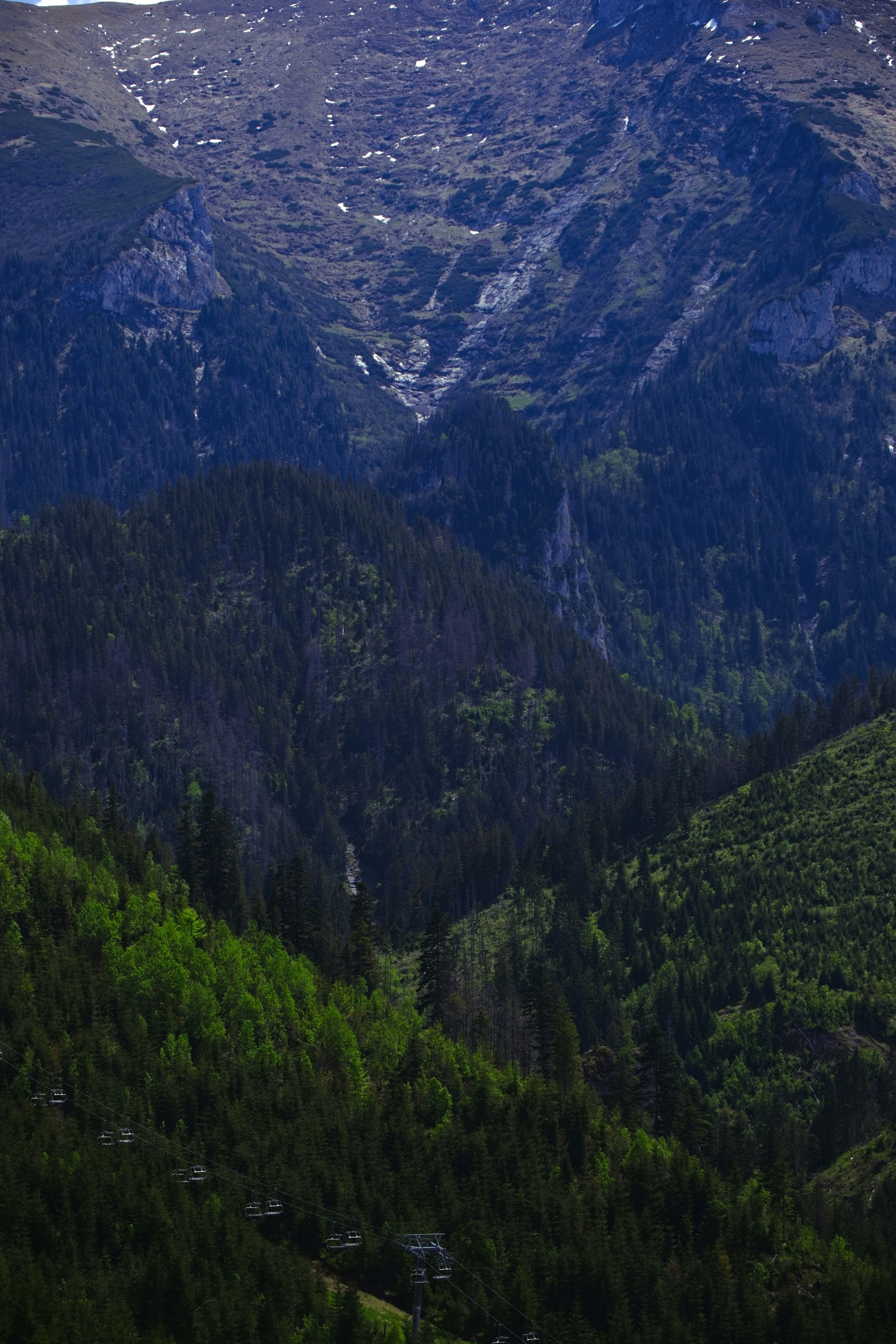 Photo by rozoviesloniki