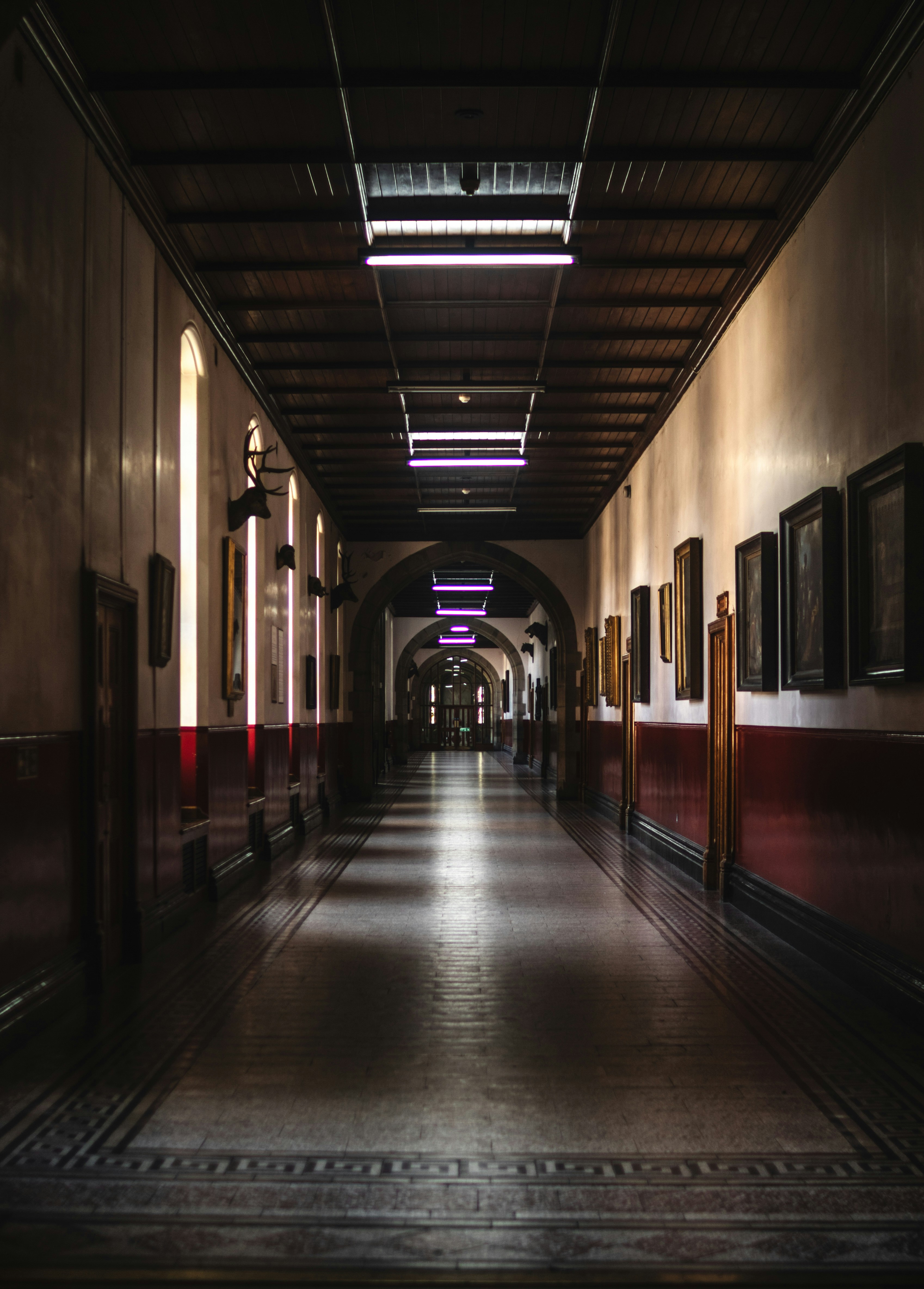 Photo by starkie_pics