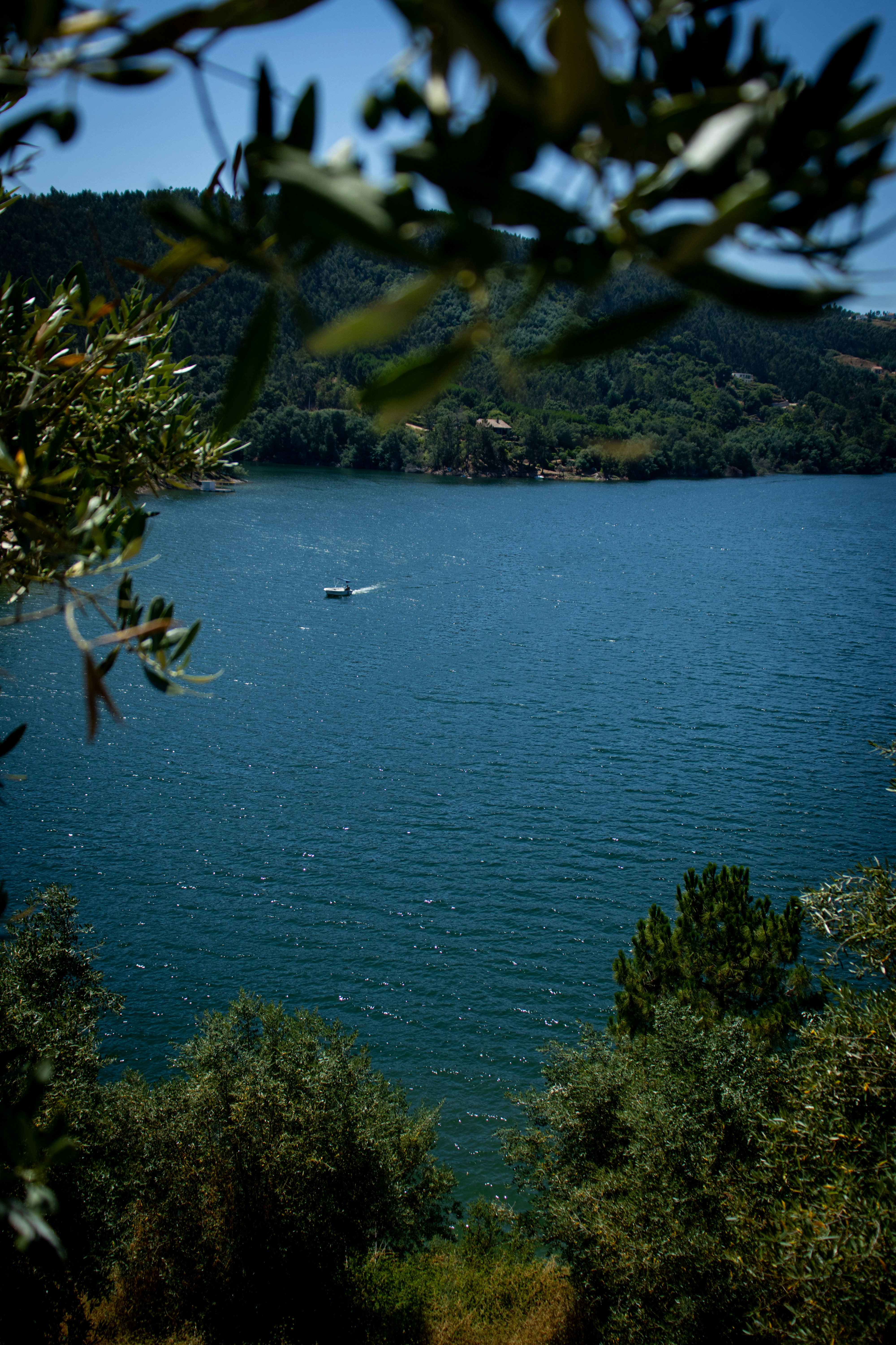 Photo by vinicius047