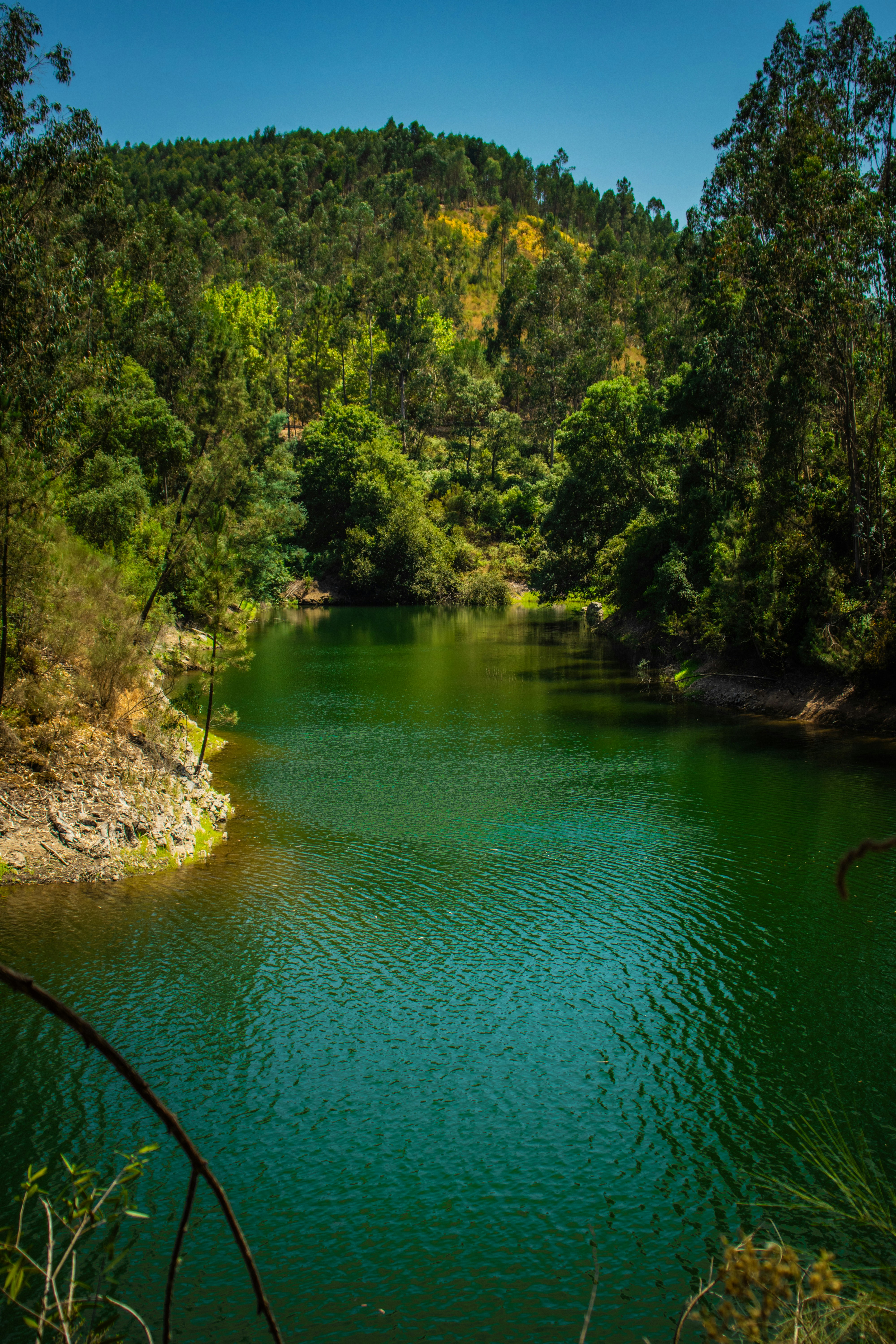 Photo by vinicius047