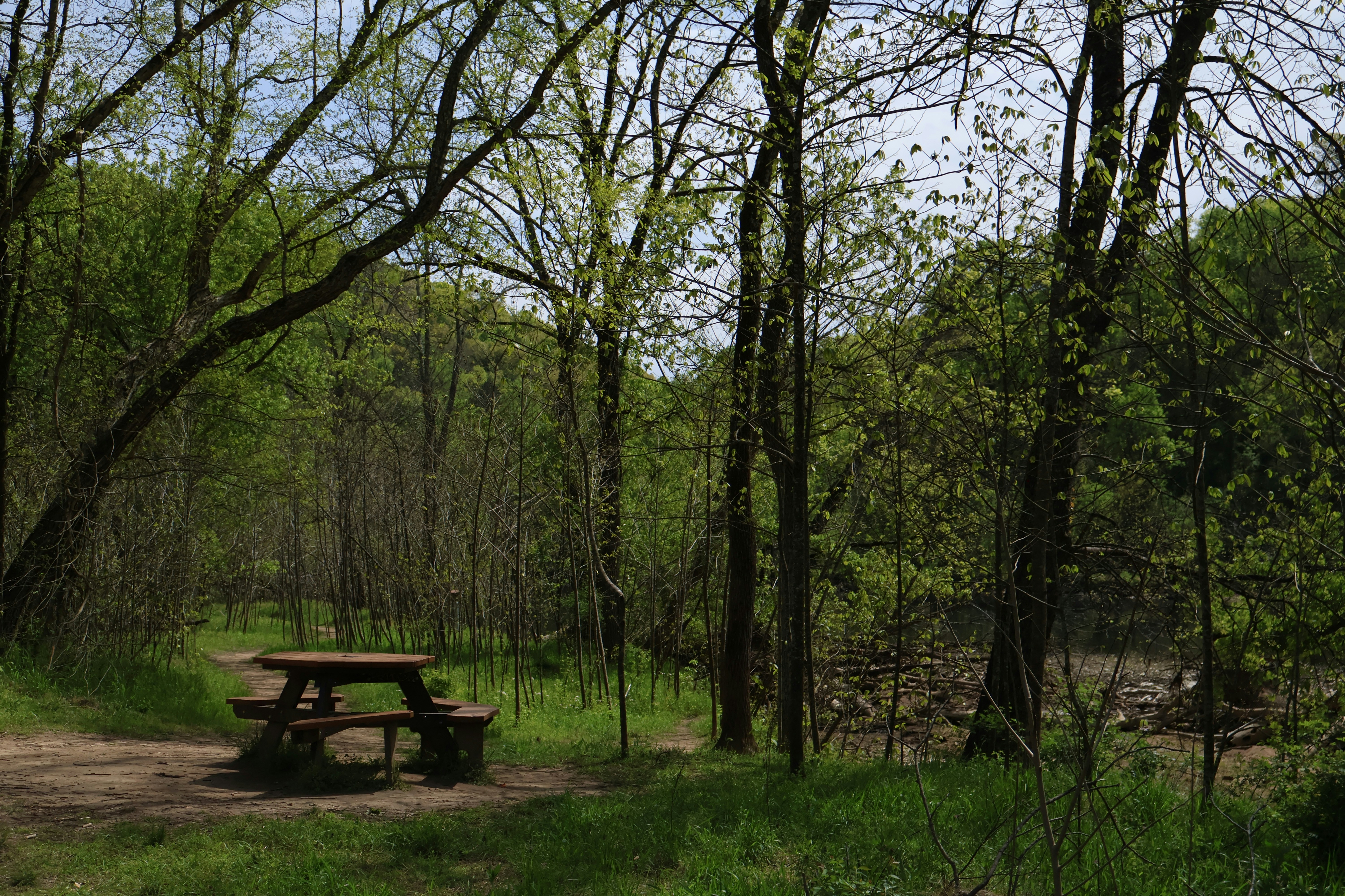 Wapsi Creek Park