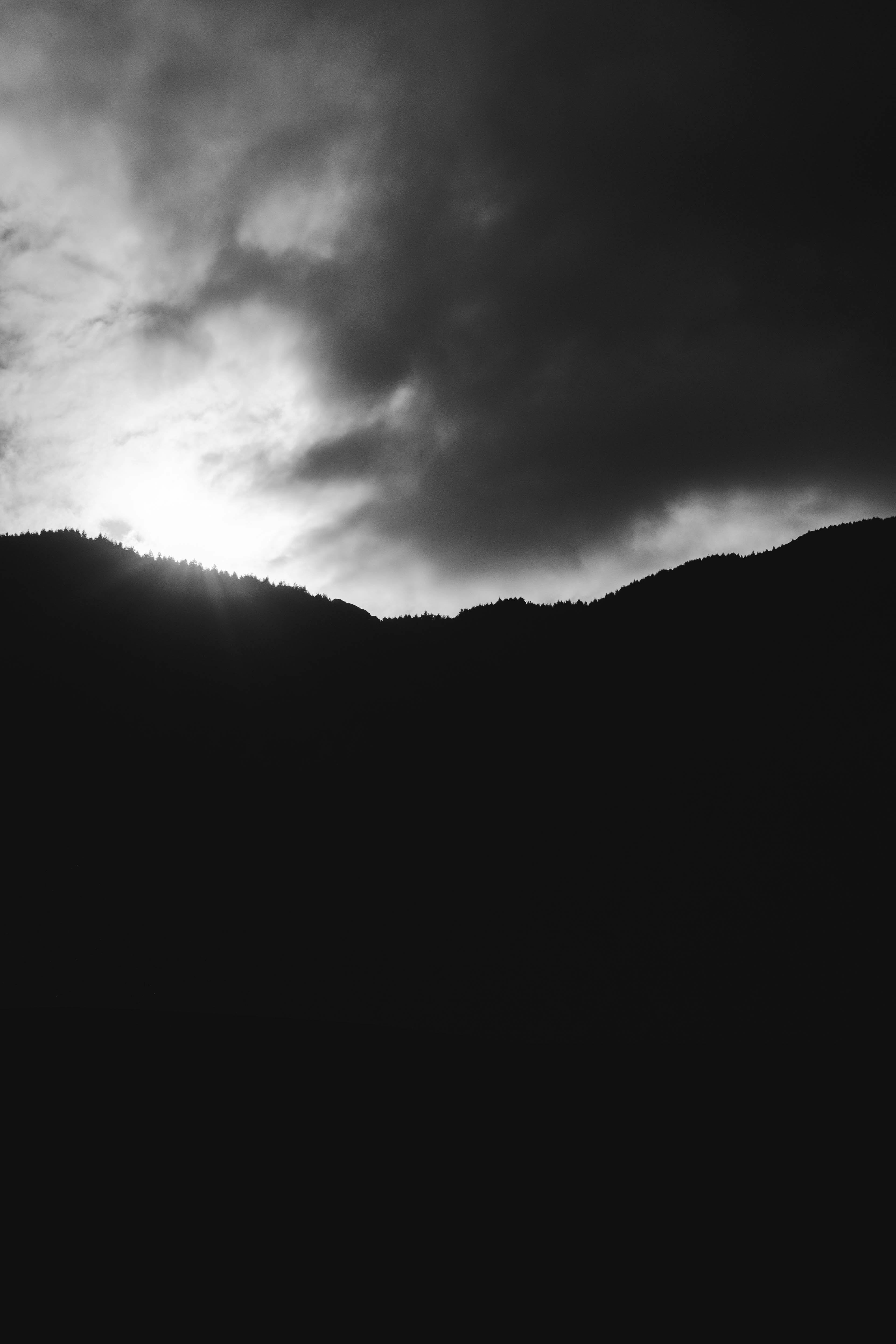 Photo by artserrphoto