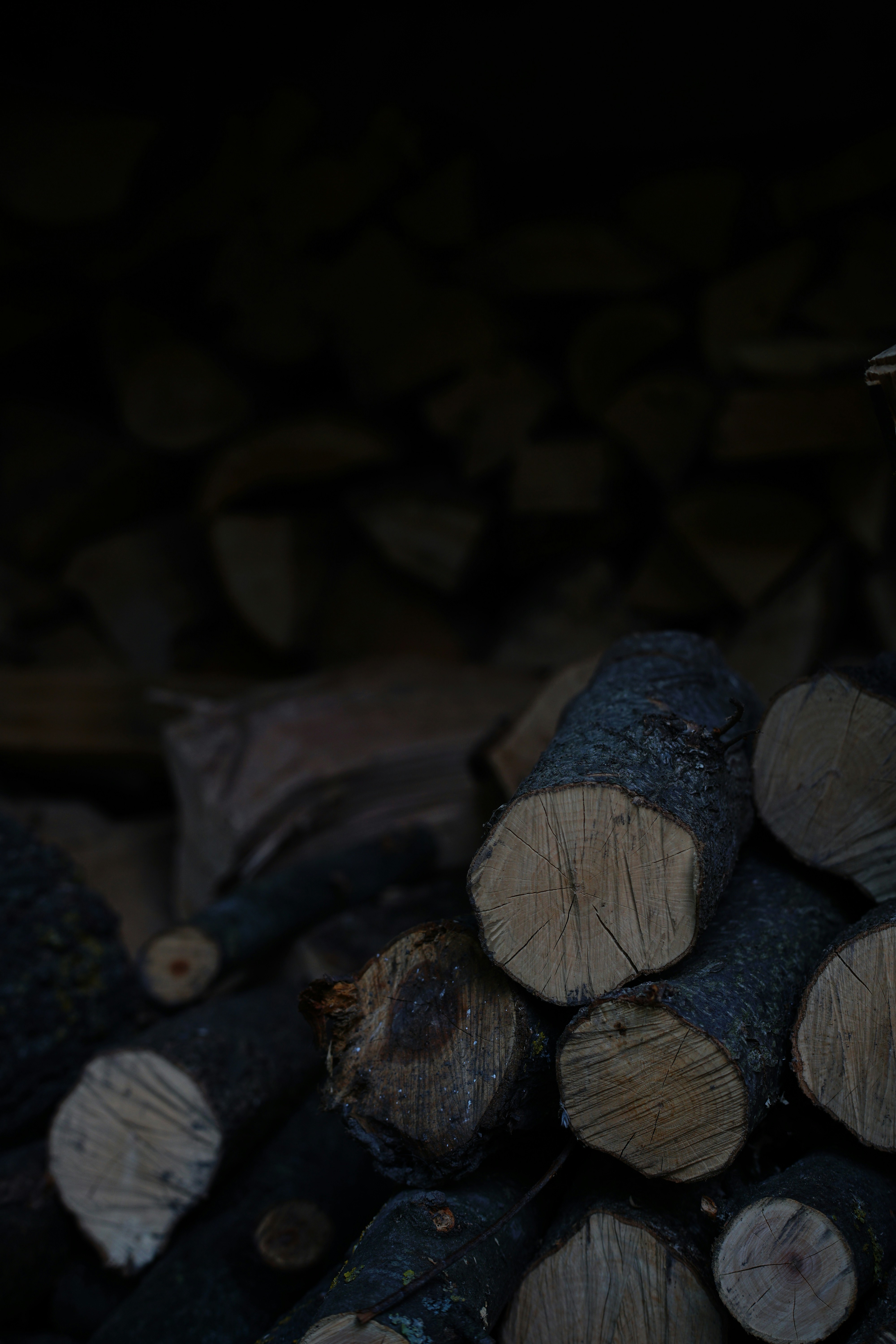 Photo by nazarii_kovalov