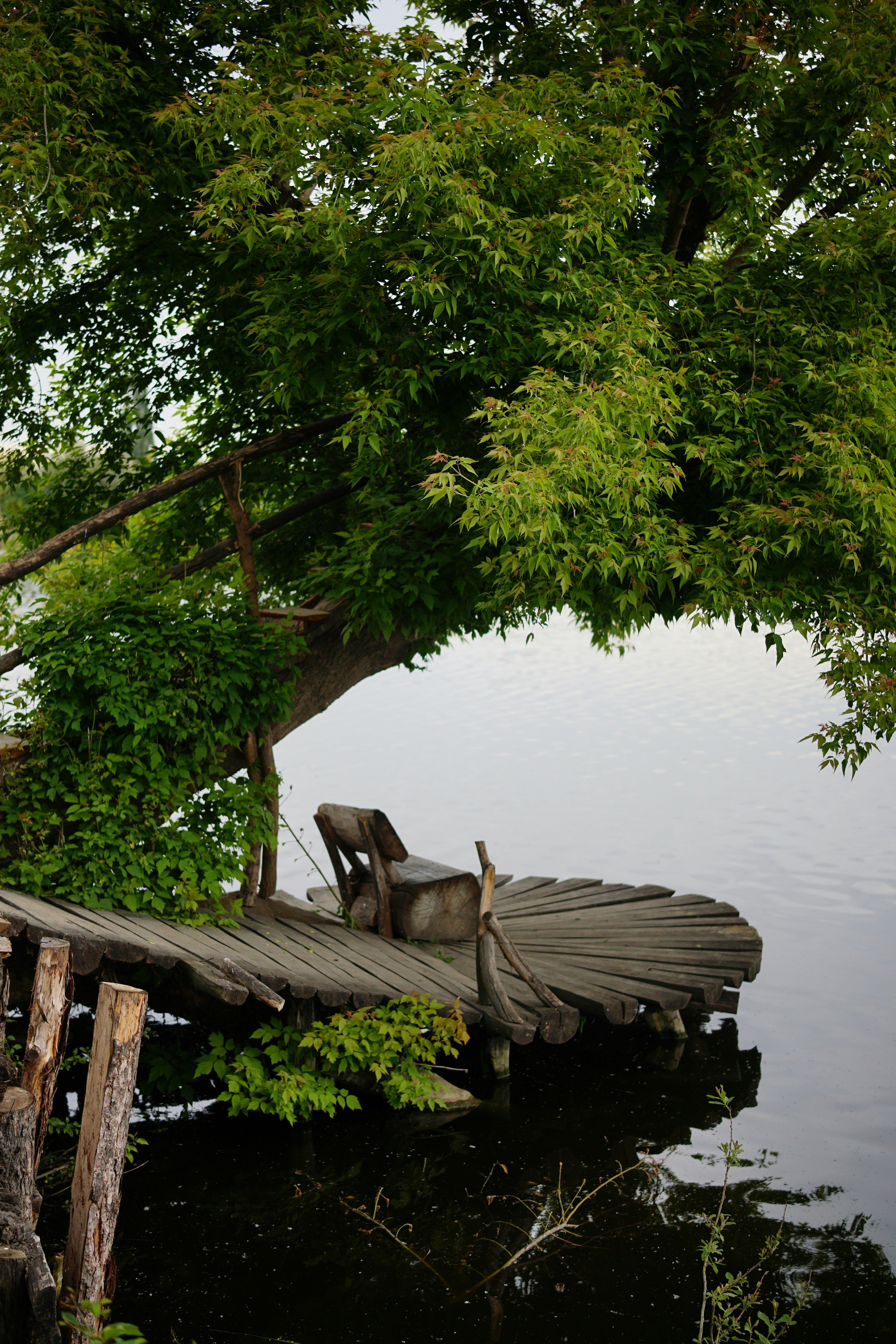 Photo by nazariykovalov