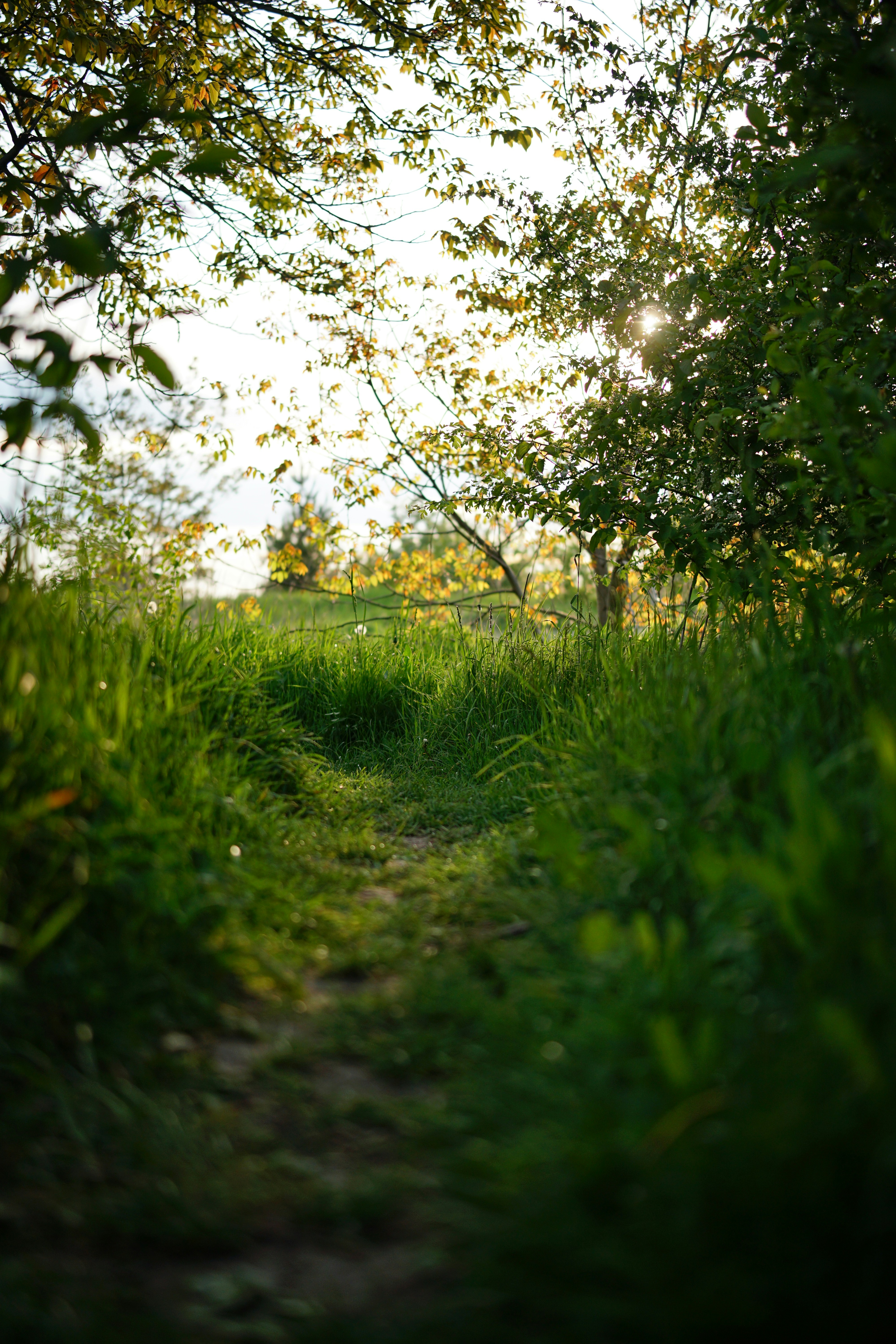 Photo by nazarii_kovalov