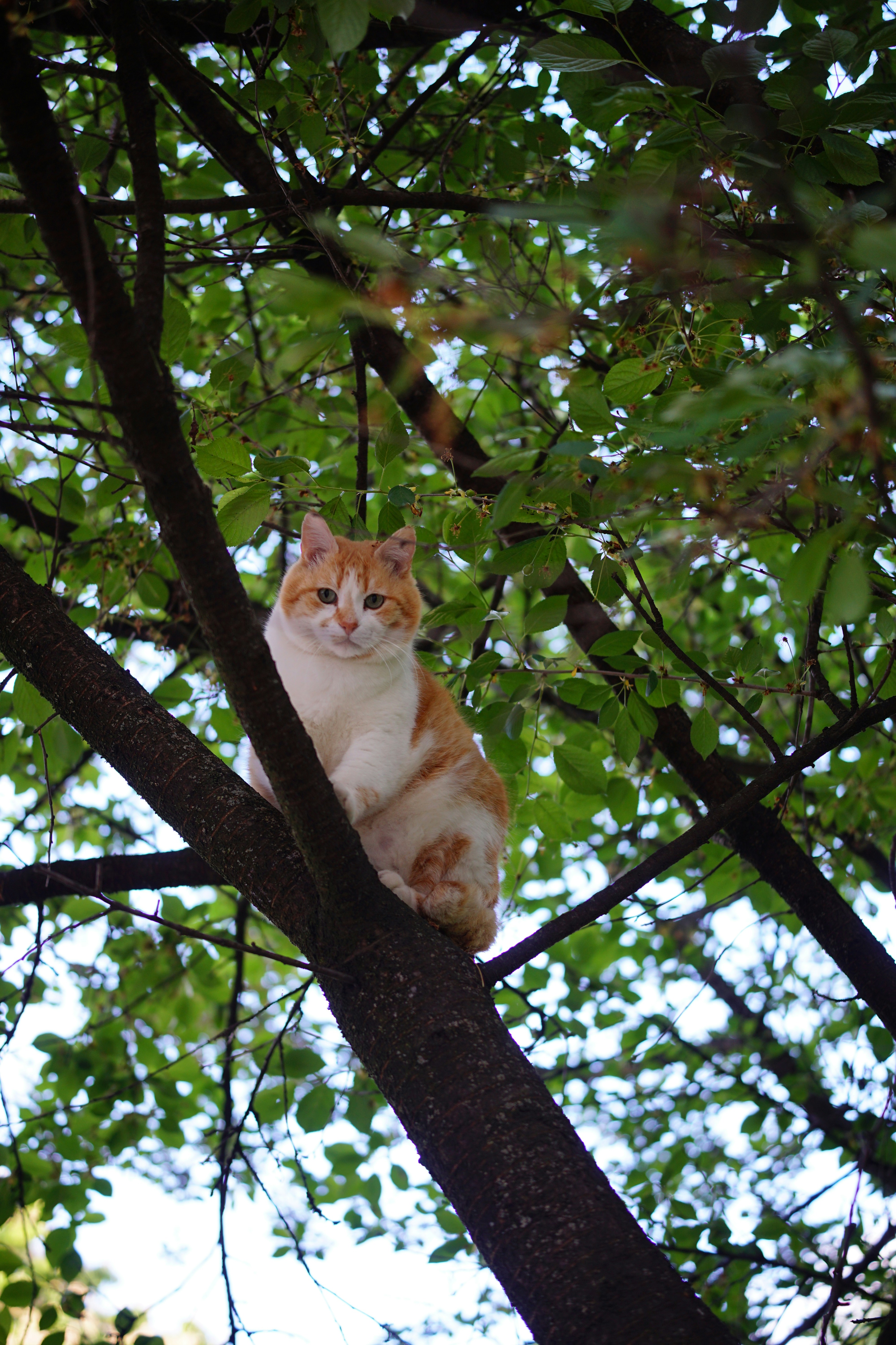 Photo by nazarii_kovalov