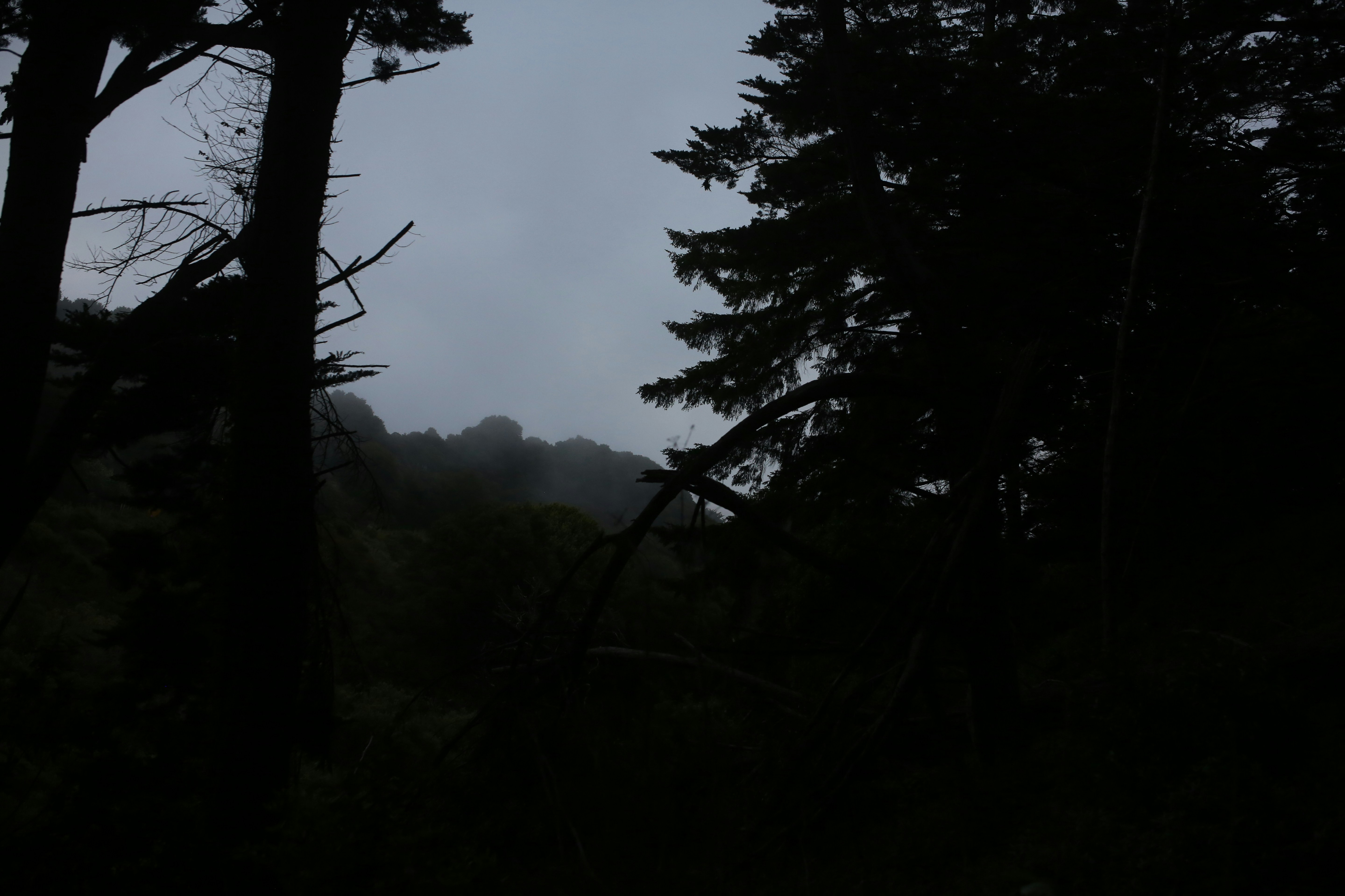 Photo by sthomanns