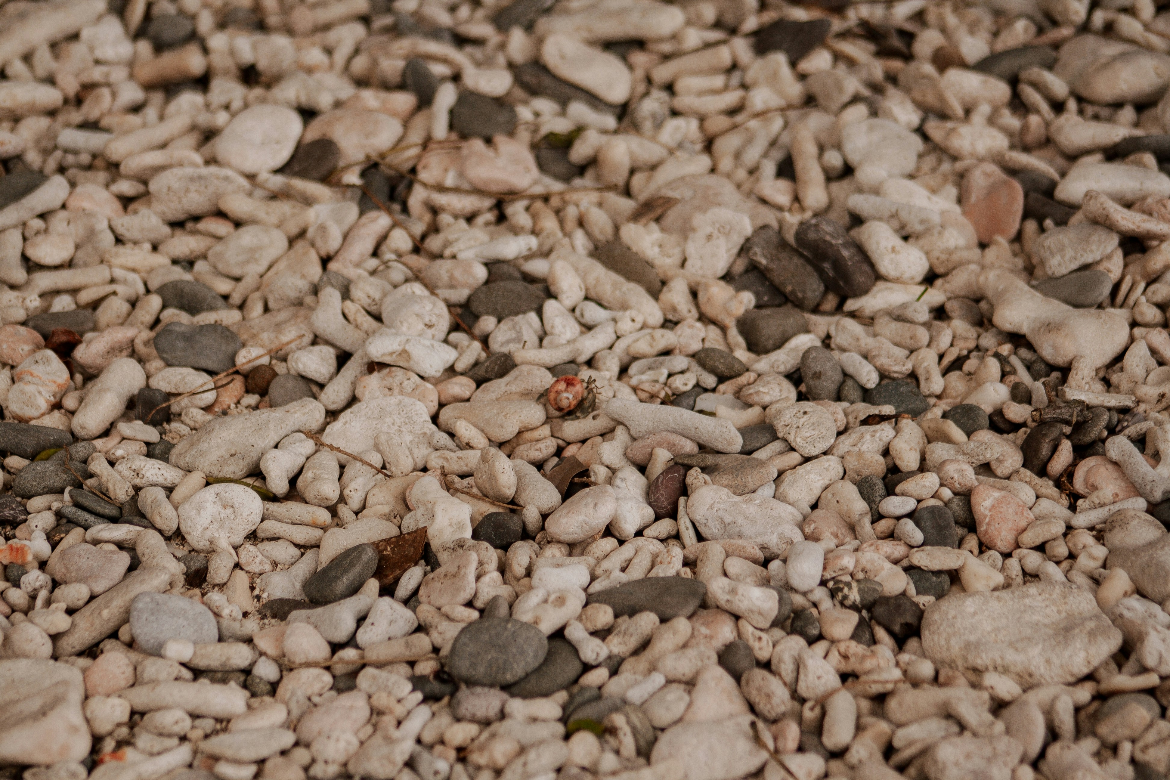 Photo by johan_kamaong