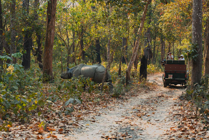 Jungle Safari – Bardia