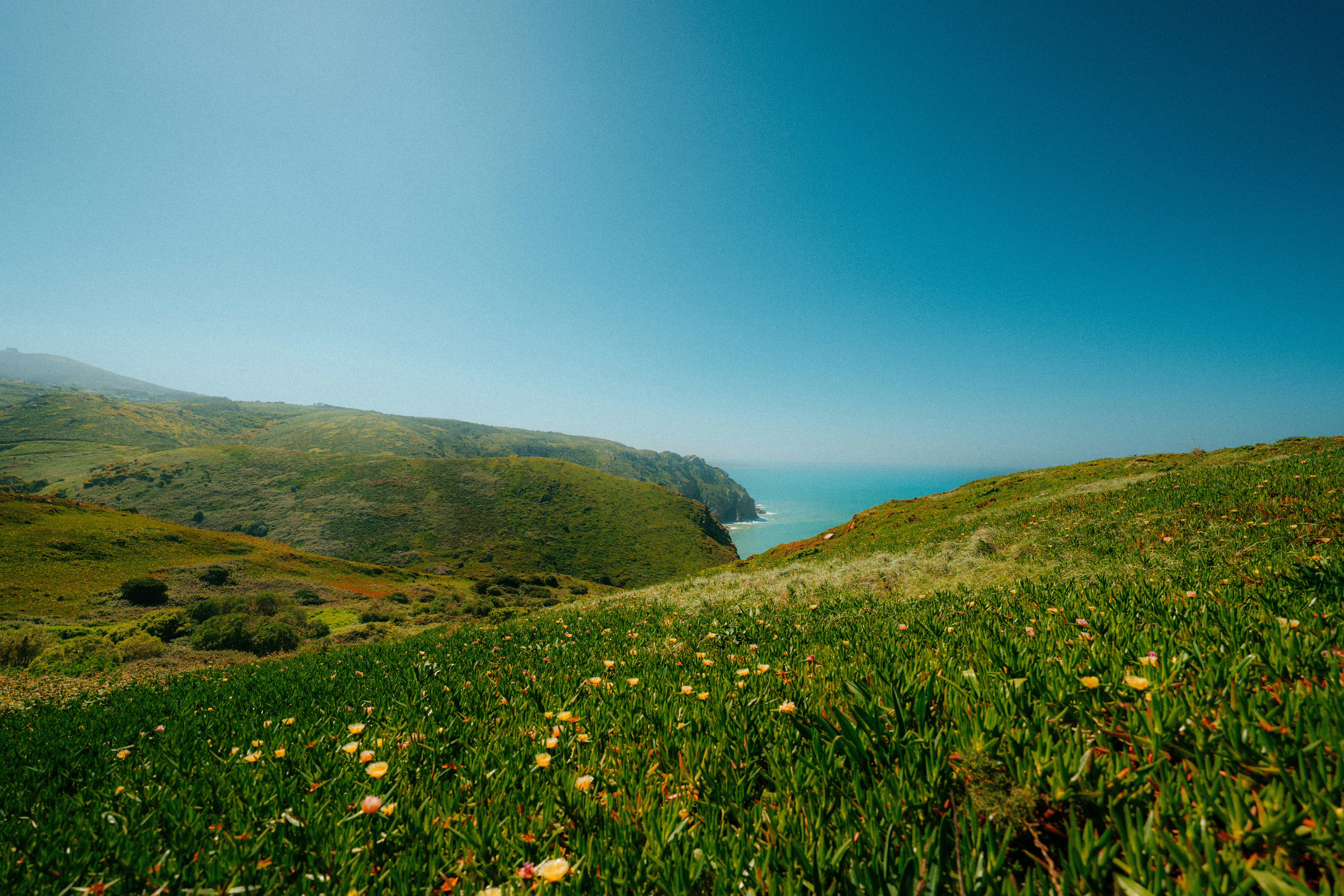 Rolling green hills meet the blue ocean.