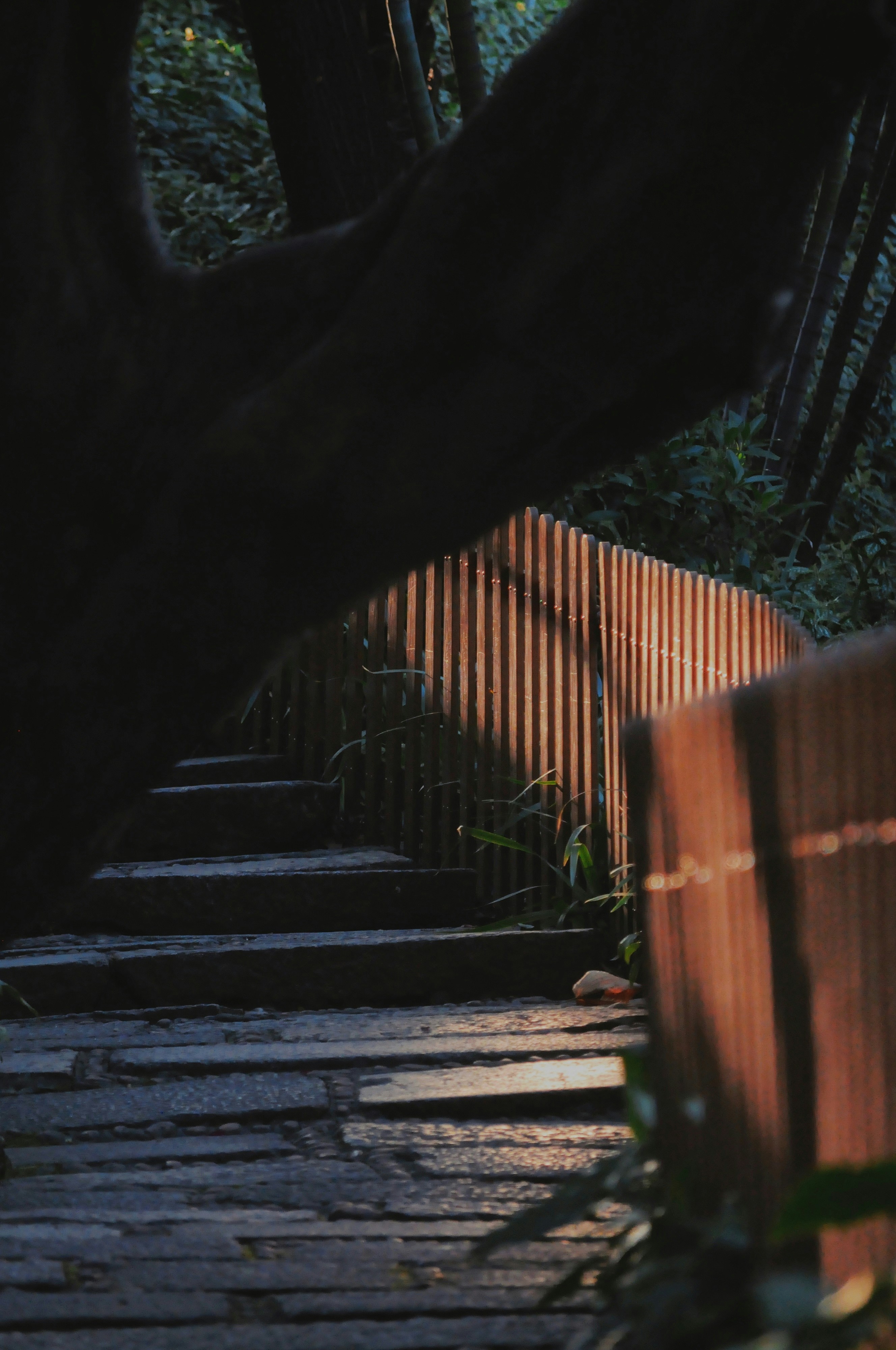 Photo by antoniazhao