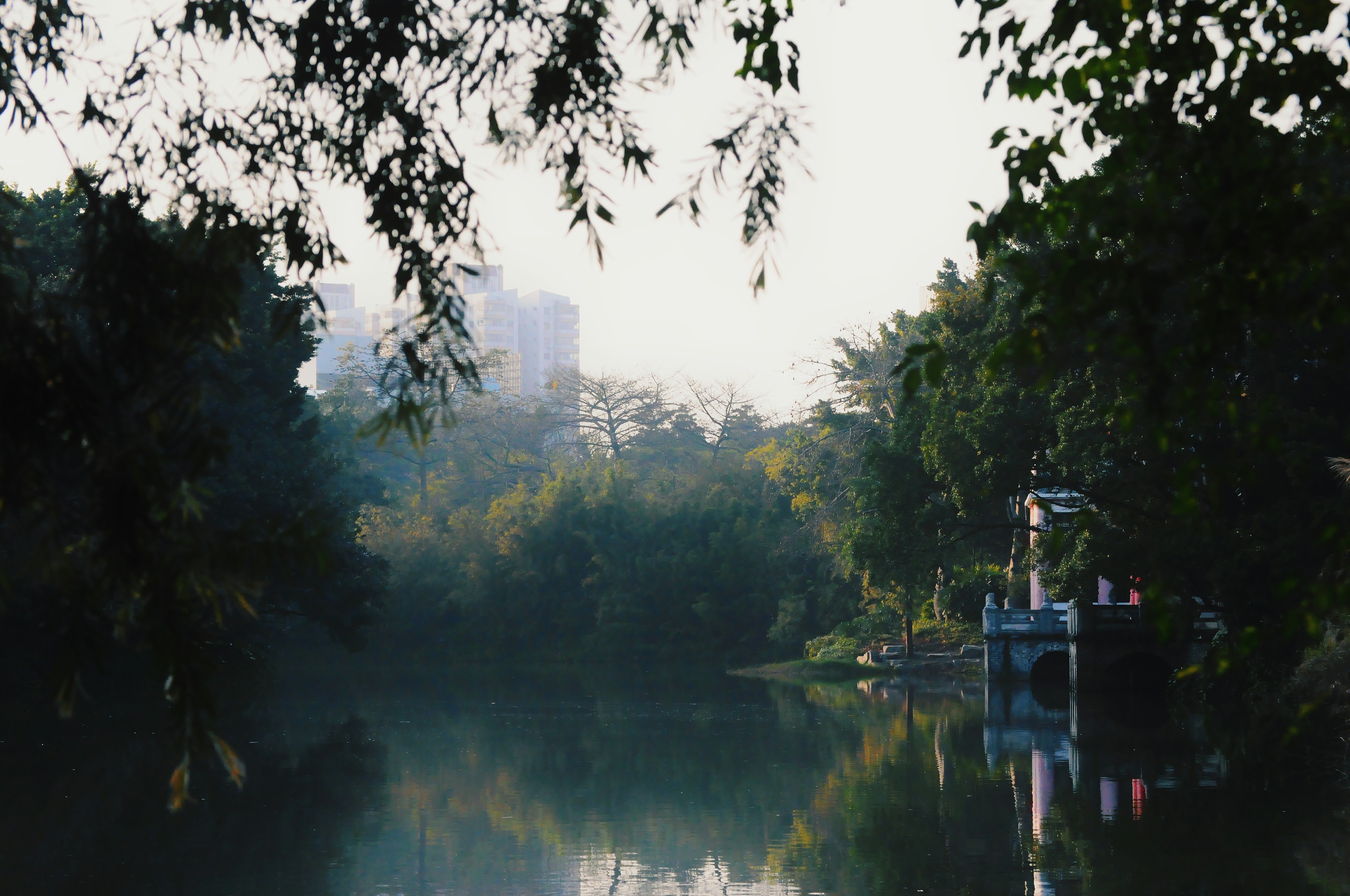 Photo by antoniazhao