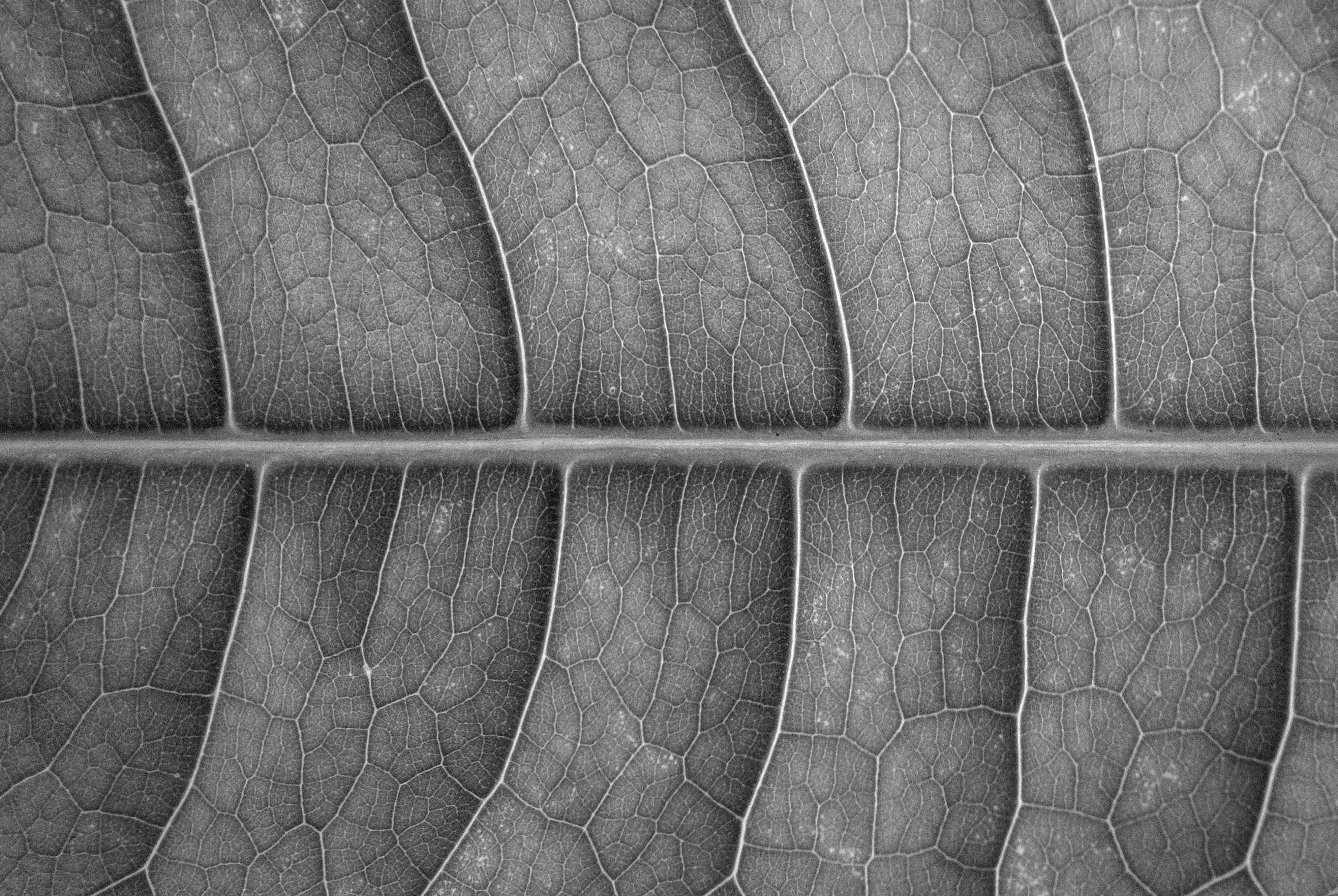 Photo by peterbbryan