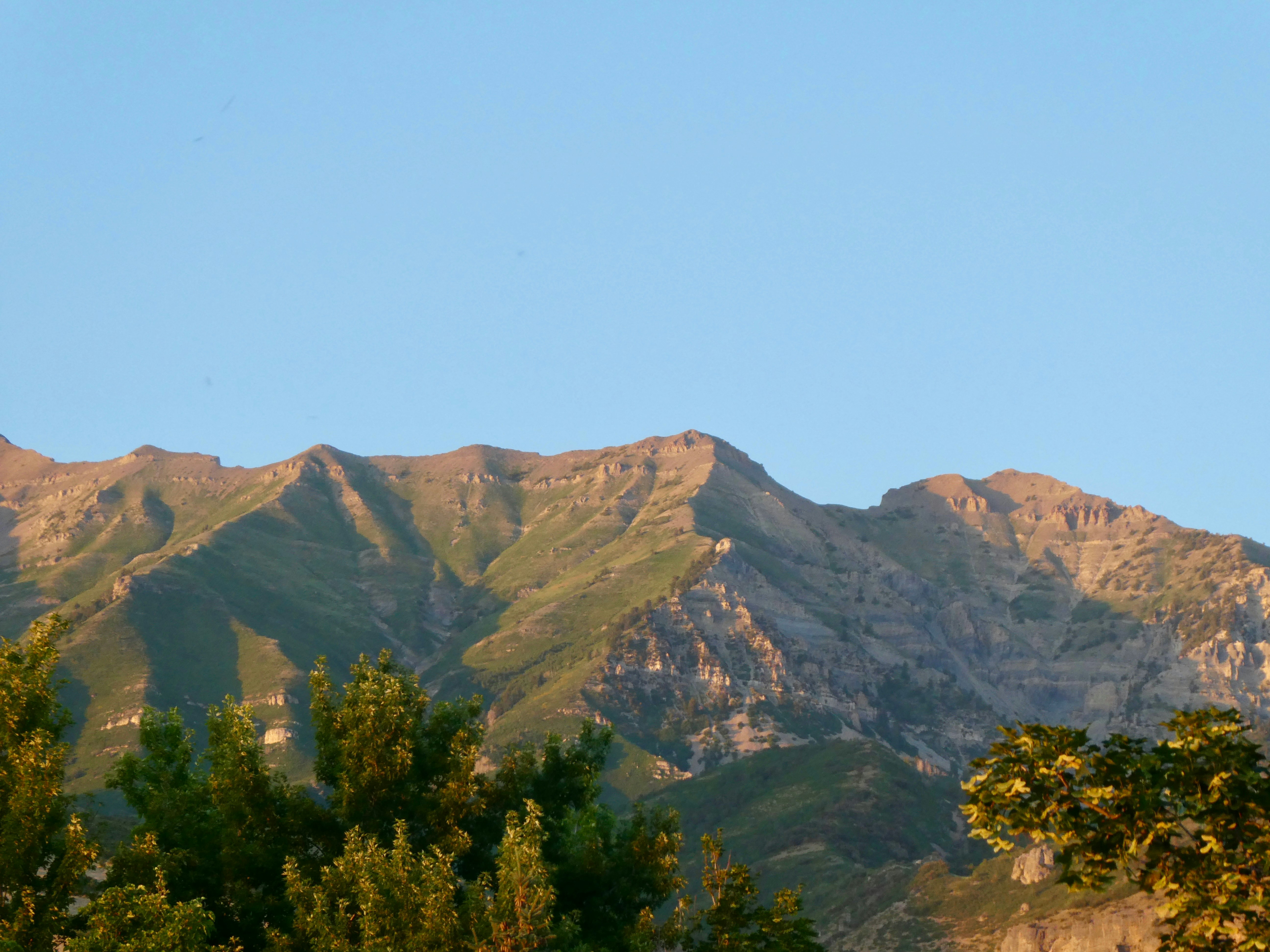 Photo by sofiewilson