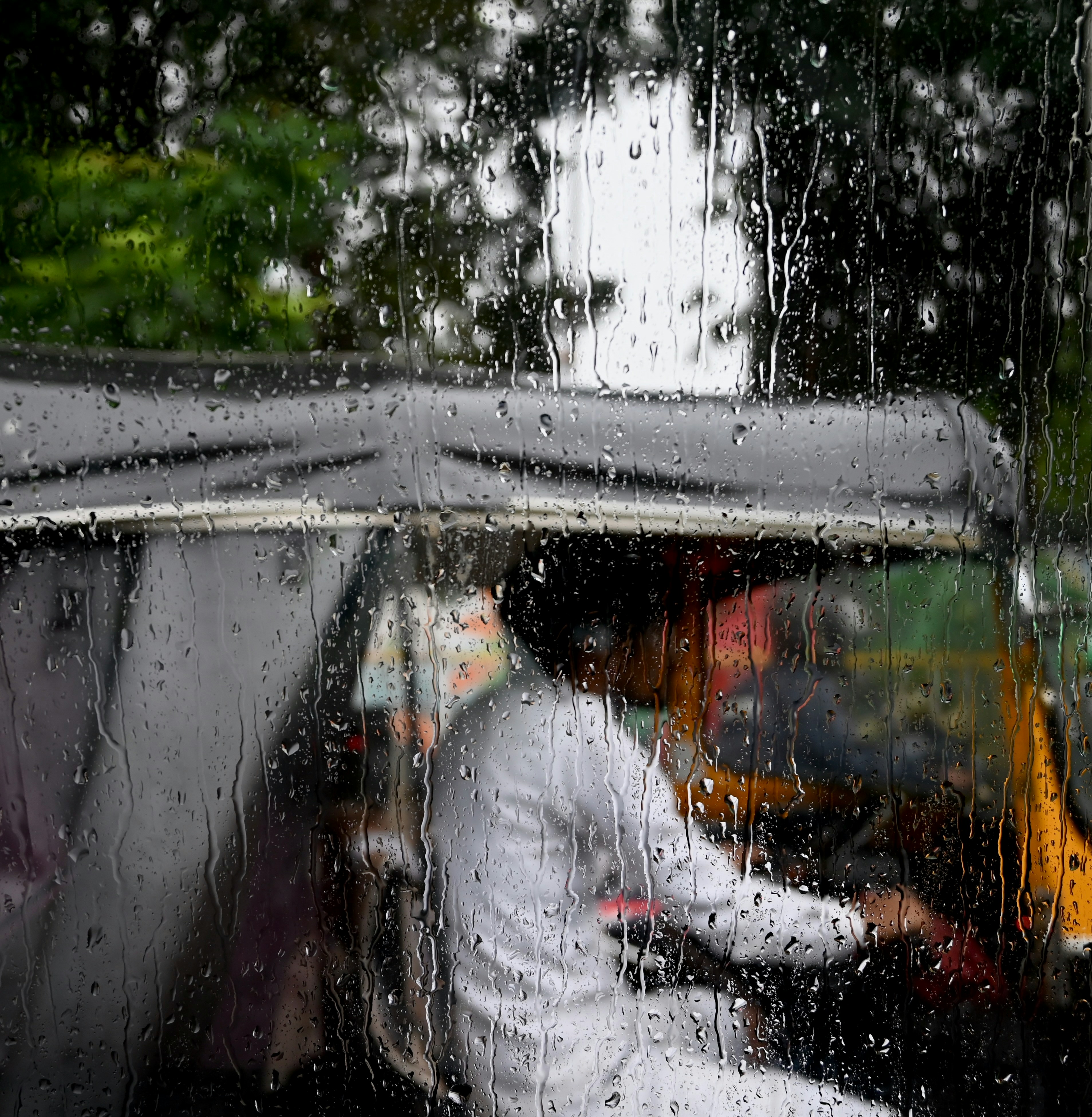 Photo by saadahmad_umn