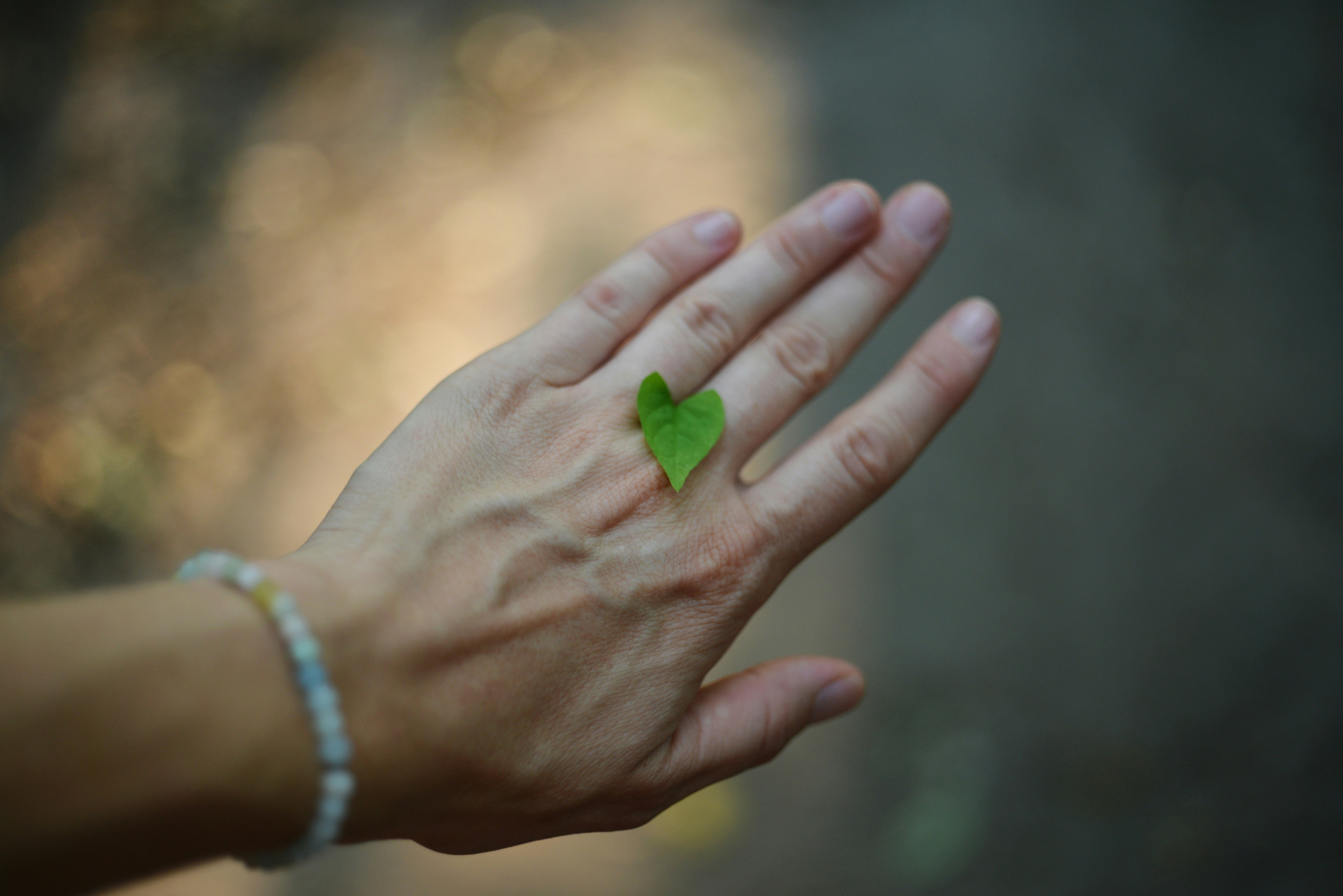 Photo by cherstve_pechivo